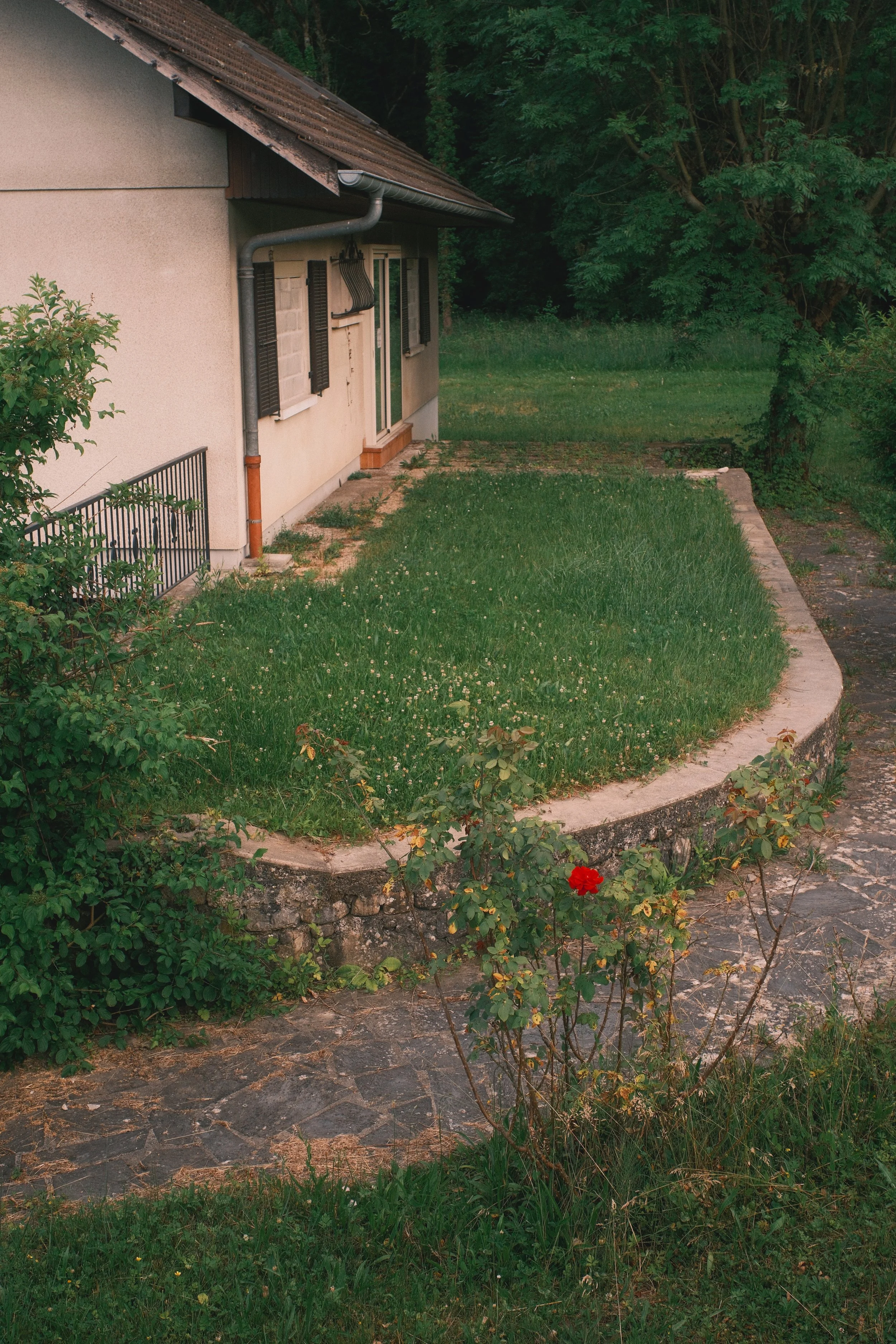 DSCF4728.jpg