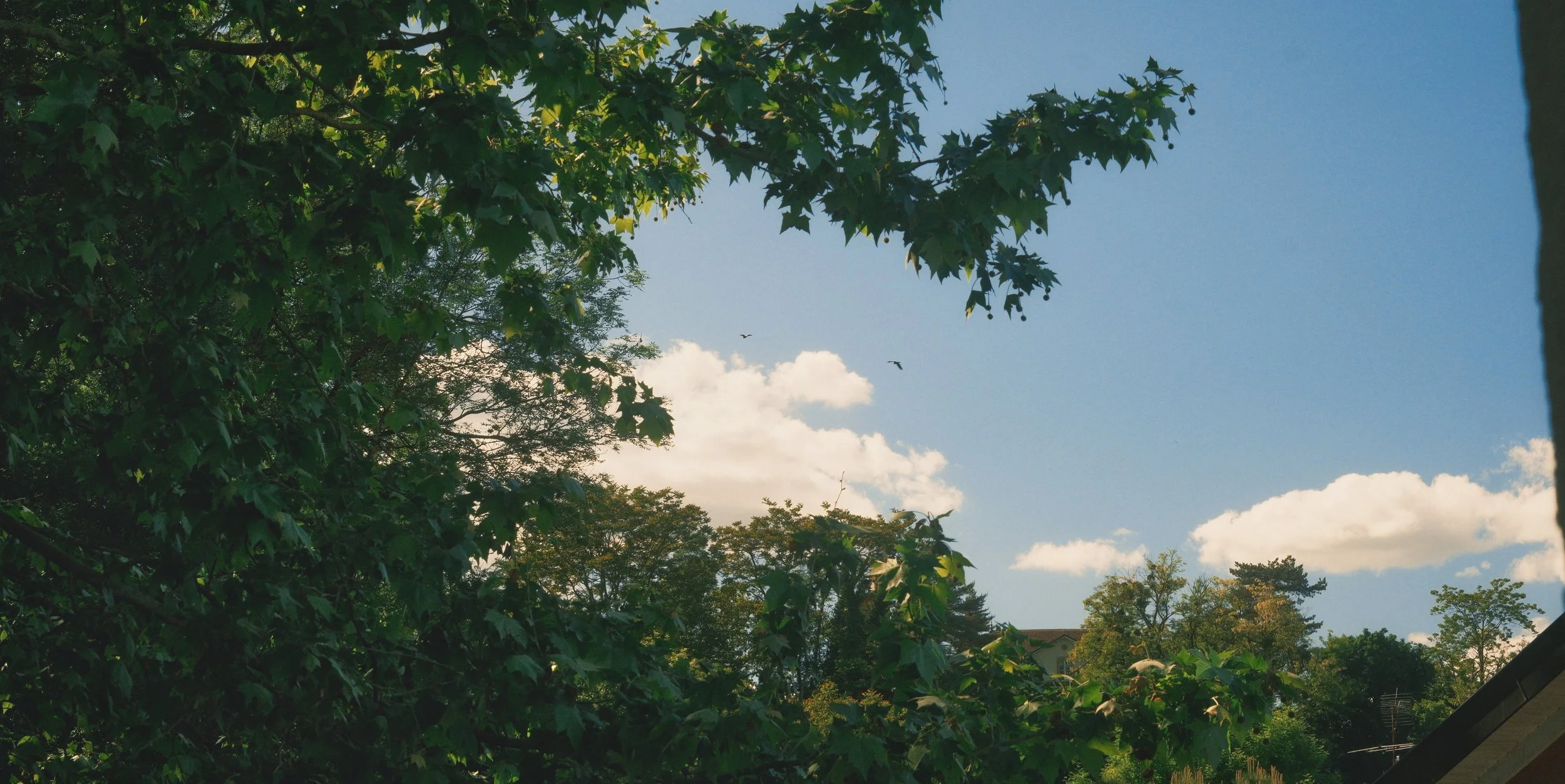 DSCF4368.jpg