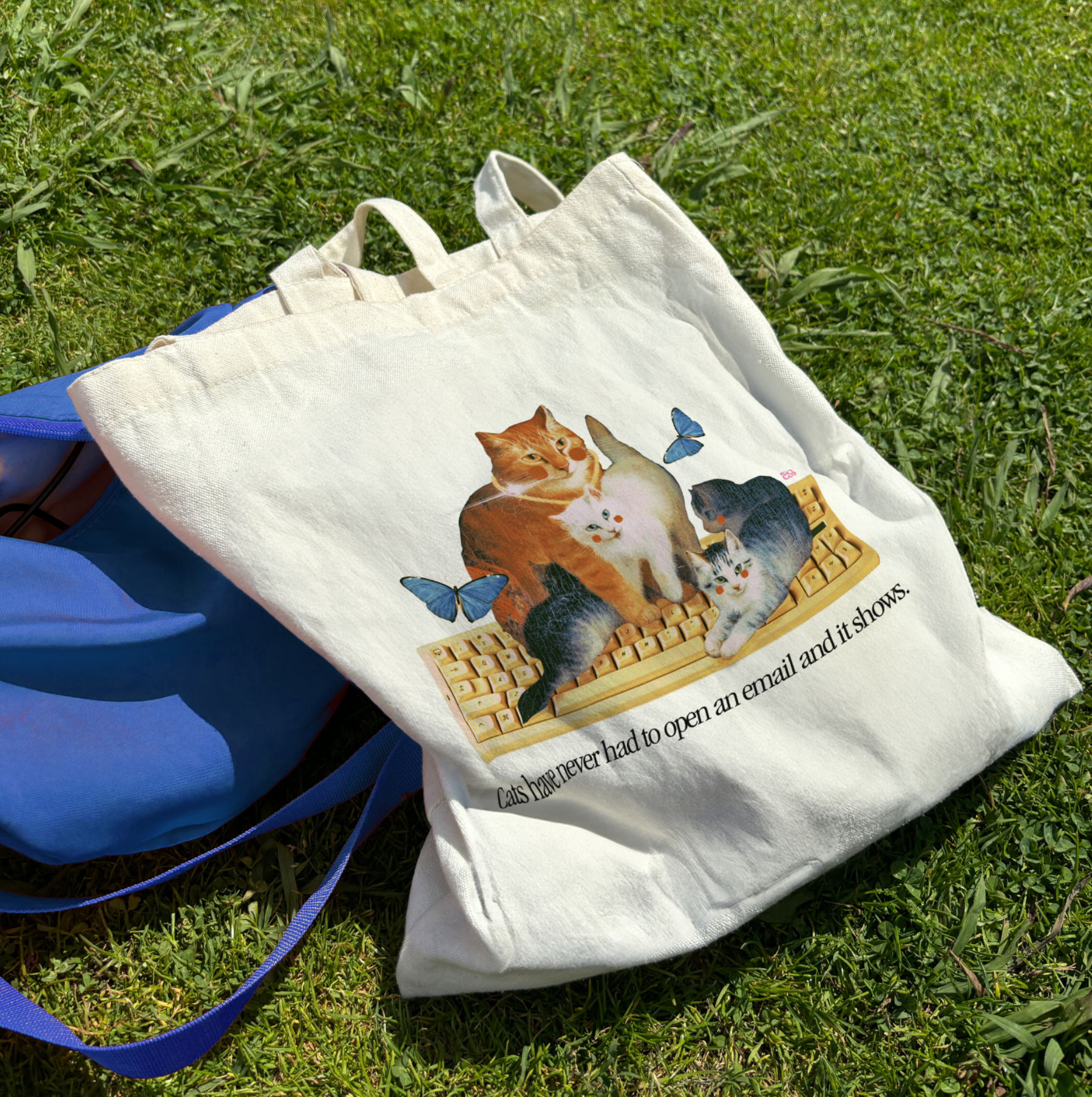 Screenshot 2026-03-23 110644.png