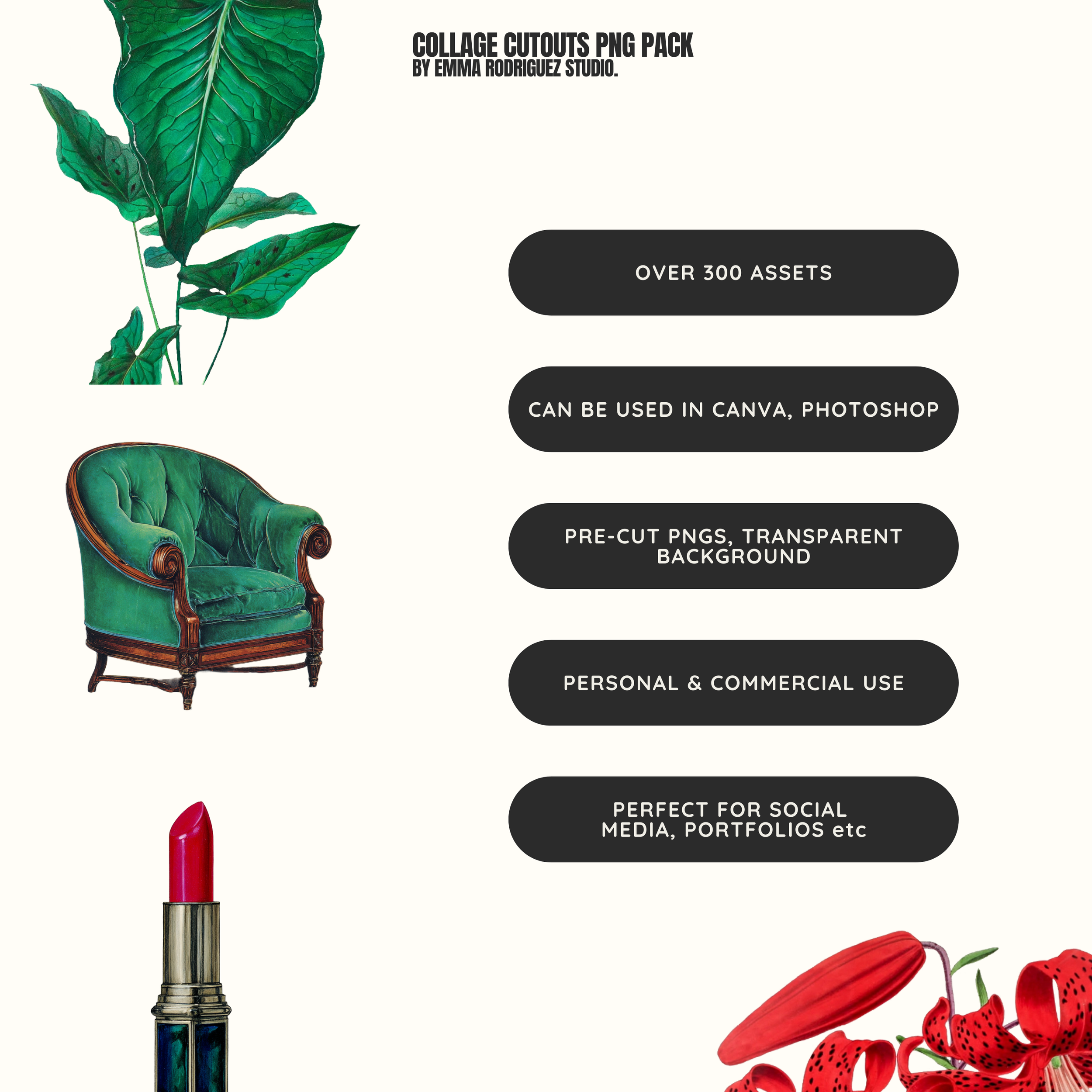 Copy of Pack Shop Listing Images (2).png
