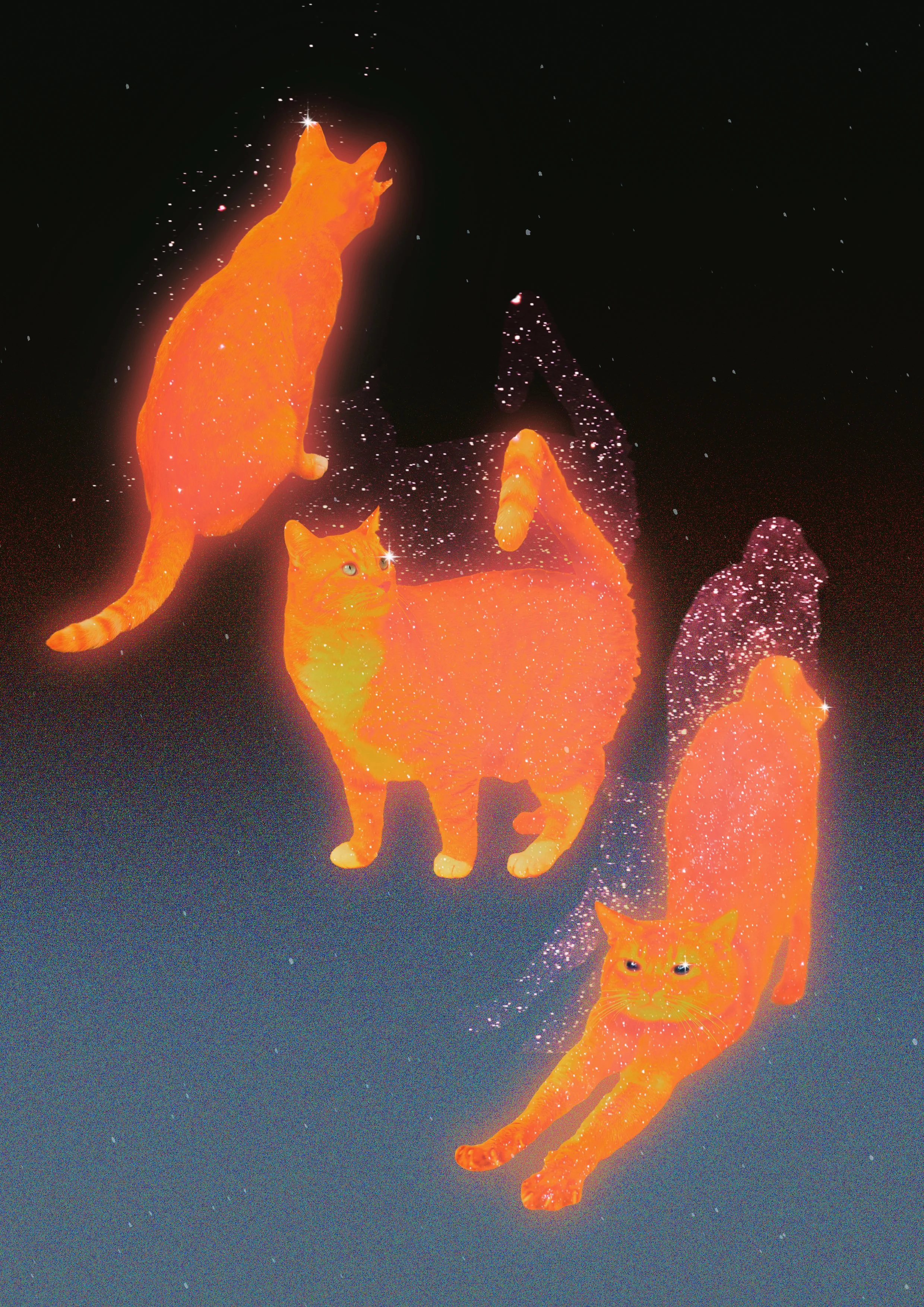cats.jpg