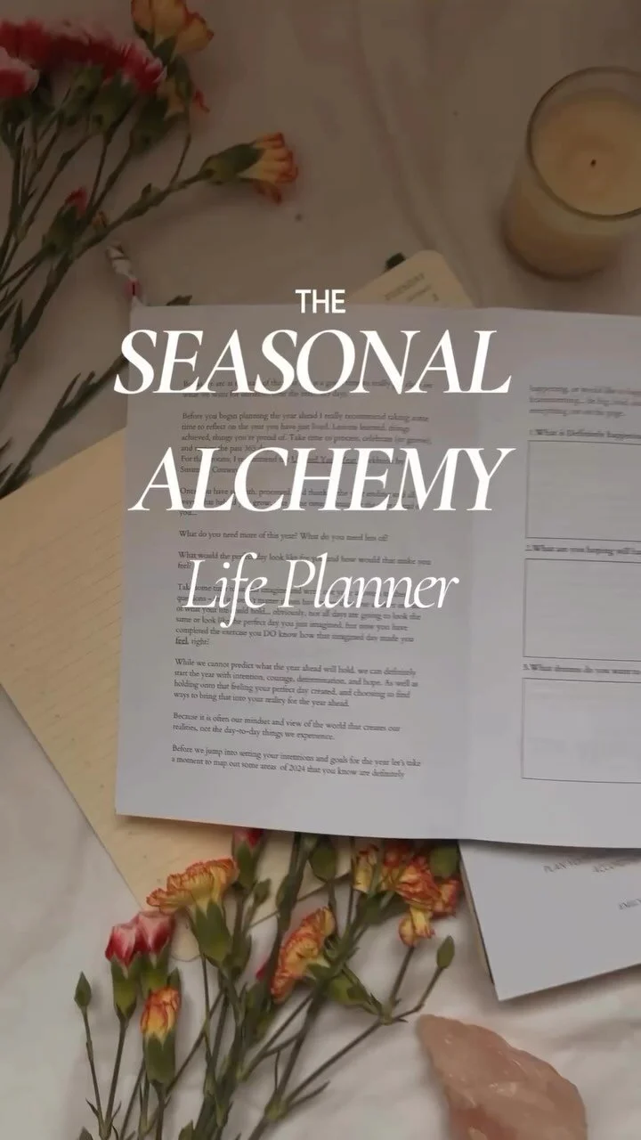 Elderflower Properties, Medicinal Uses + A Simple Cordial Recipe