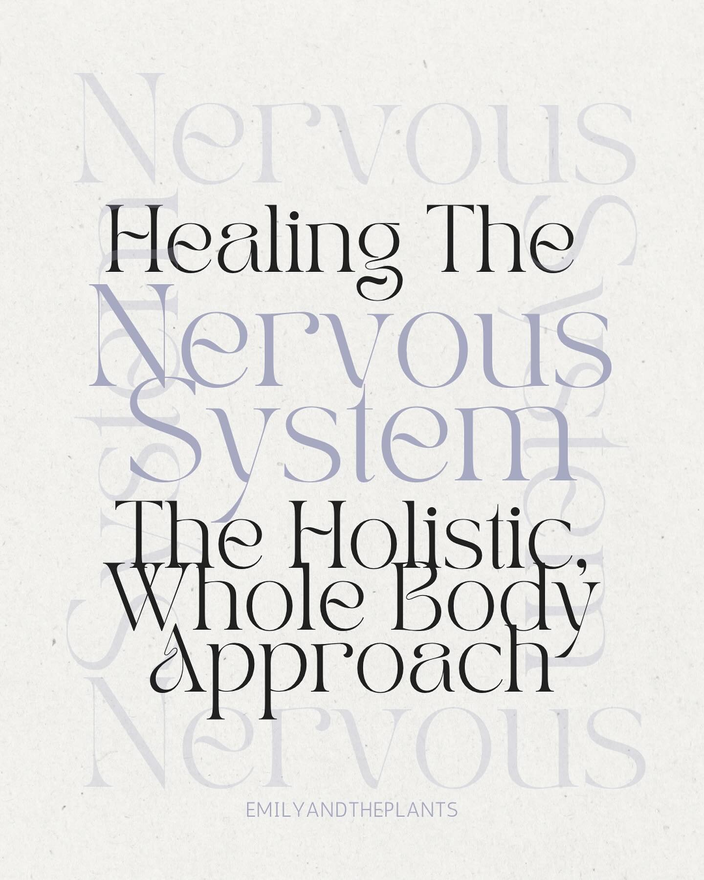 A whole body holistic view of the Nervous system

The nervous system spiderwebs and interacts with the entire body. That means that to heal the whole body we must approach the nervous system in a whole or holistic way.

Everything is interconnected.

