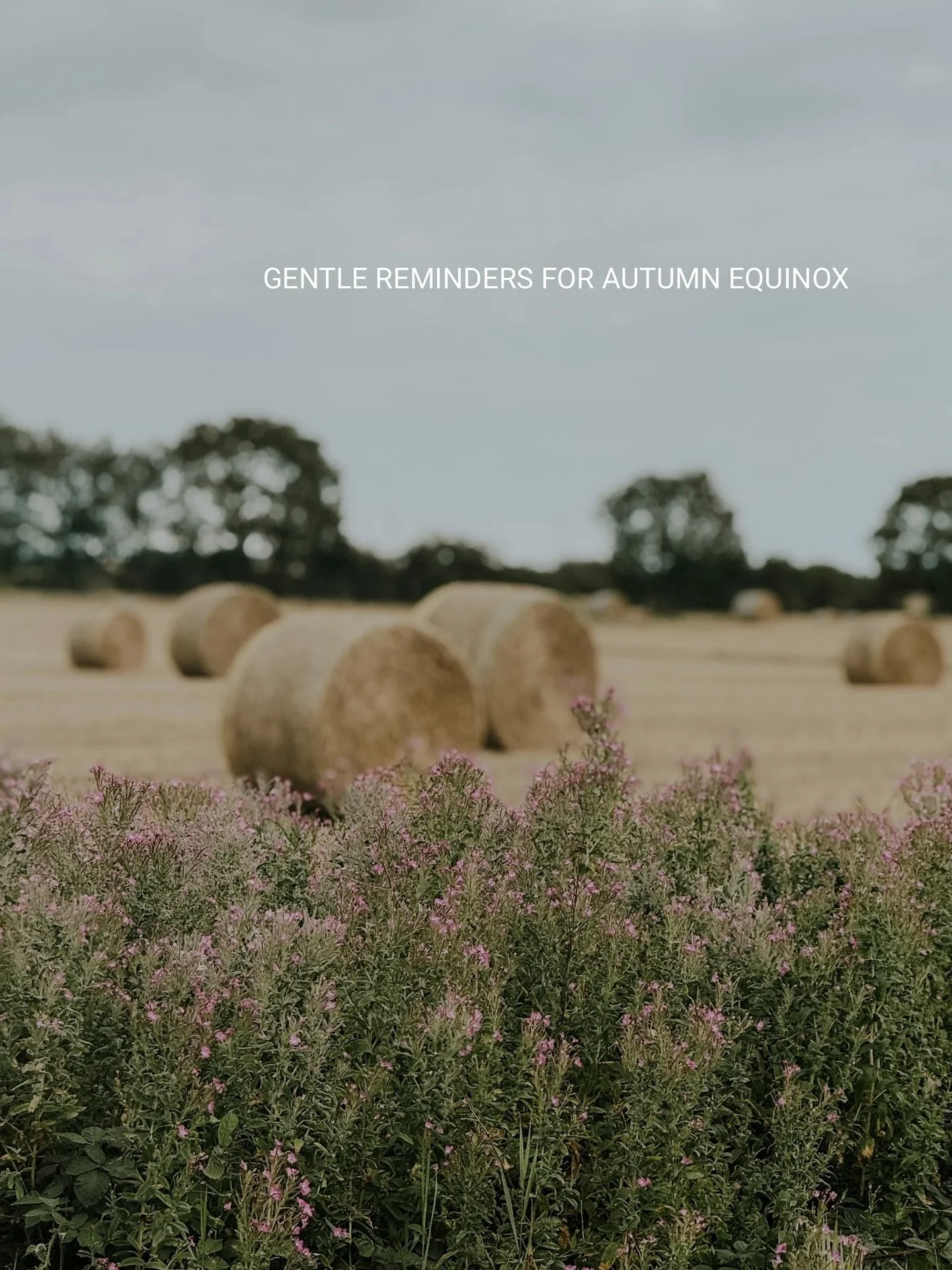 The Autumn Equinox is a threshold &mdash; 

A moment of perfect balance before the earth tips into darker days. 

It&rsquo;s a season of harvest and release, of gratitude and surrender, of breathing into the in-between.

think of these gentle notes a