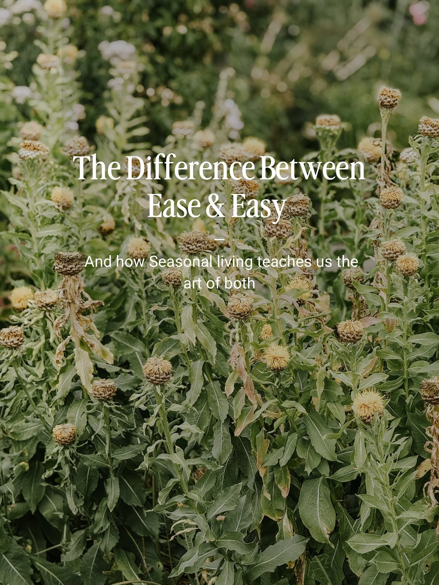 Ease vs. Easy &mdash; The Subtle Art of the Approach

We live in a world obsessed with easy &mdash; the shortcut, the hack, the instant fix. Everything is designed to remove friction, to make things faster, smoother, simpler. But in chasing &ldquo;ea