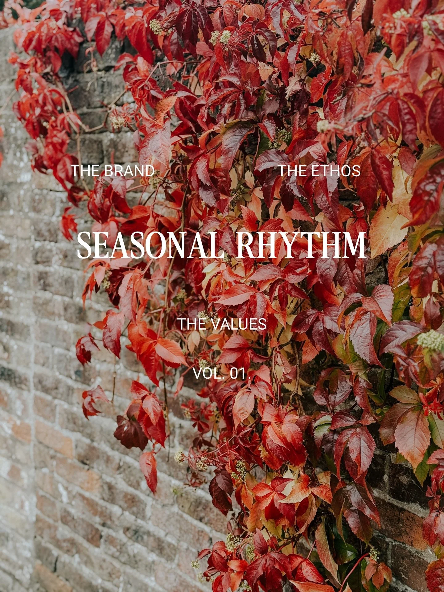 Welcome to Seasonal Rhythm&hellip; 

Just as the earth turns through her seasons of growth, bloom, harvest, and rest, we too move through rhythms of expansion and contraction, doing and being, light and dark. 

Living seasonally is a way of coming ba