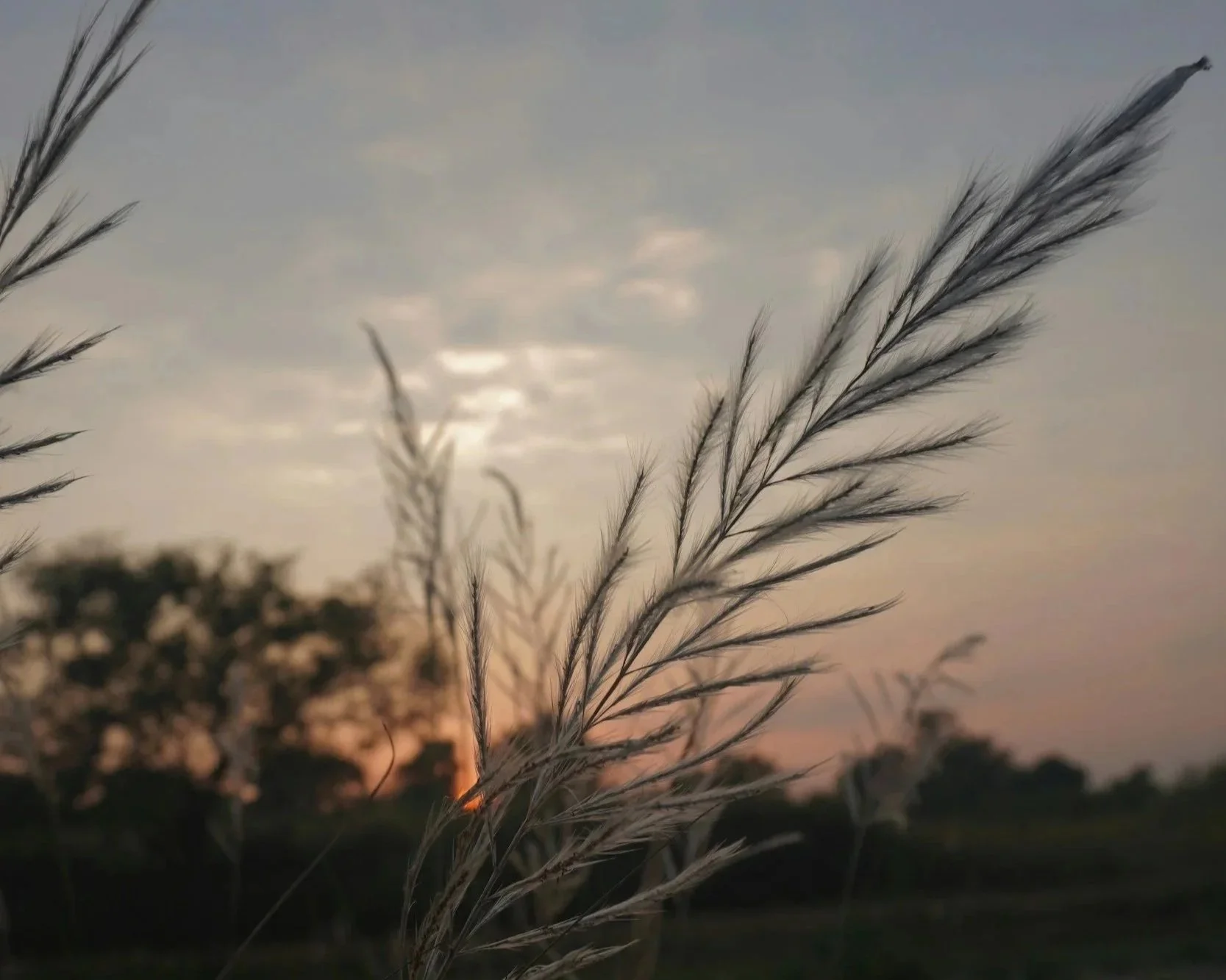 Living in Seasonal Rhythm: A Return to Nature’s Flow