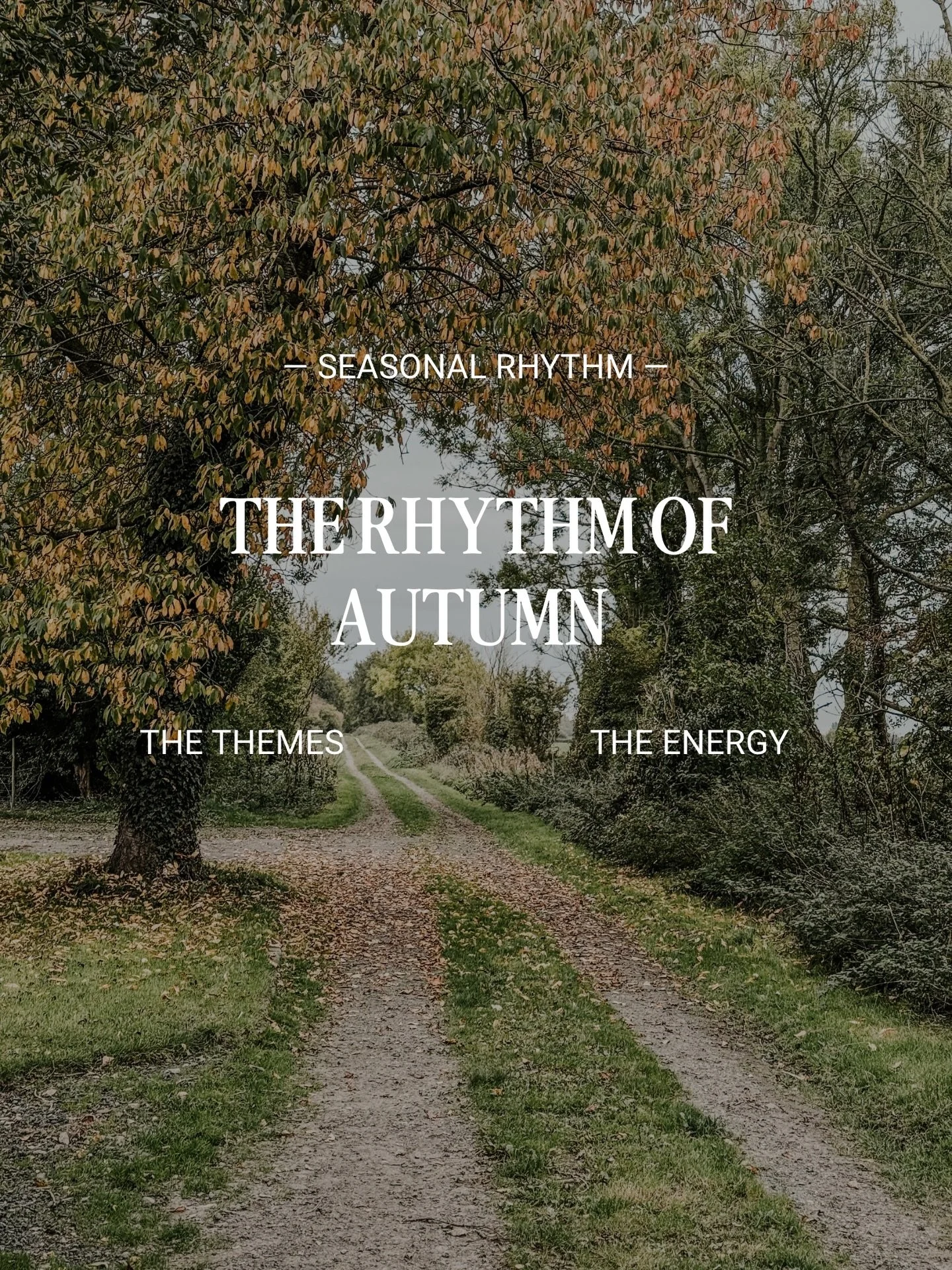 Autumn asks us to soften. To gather ourselves. To feel the earth beneath our feet again after the fullness of summer.
This is the season where we slow down enough to hear what our inner landscape has been trying to tell us all year. Where routine bec