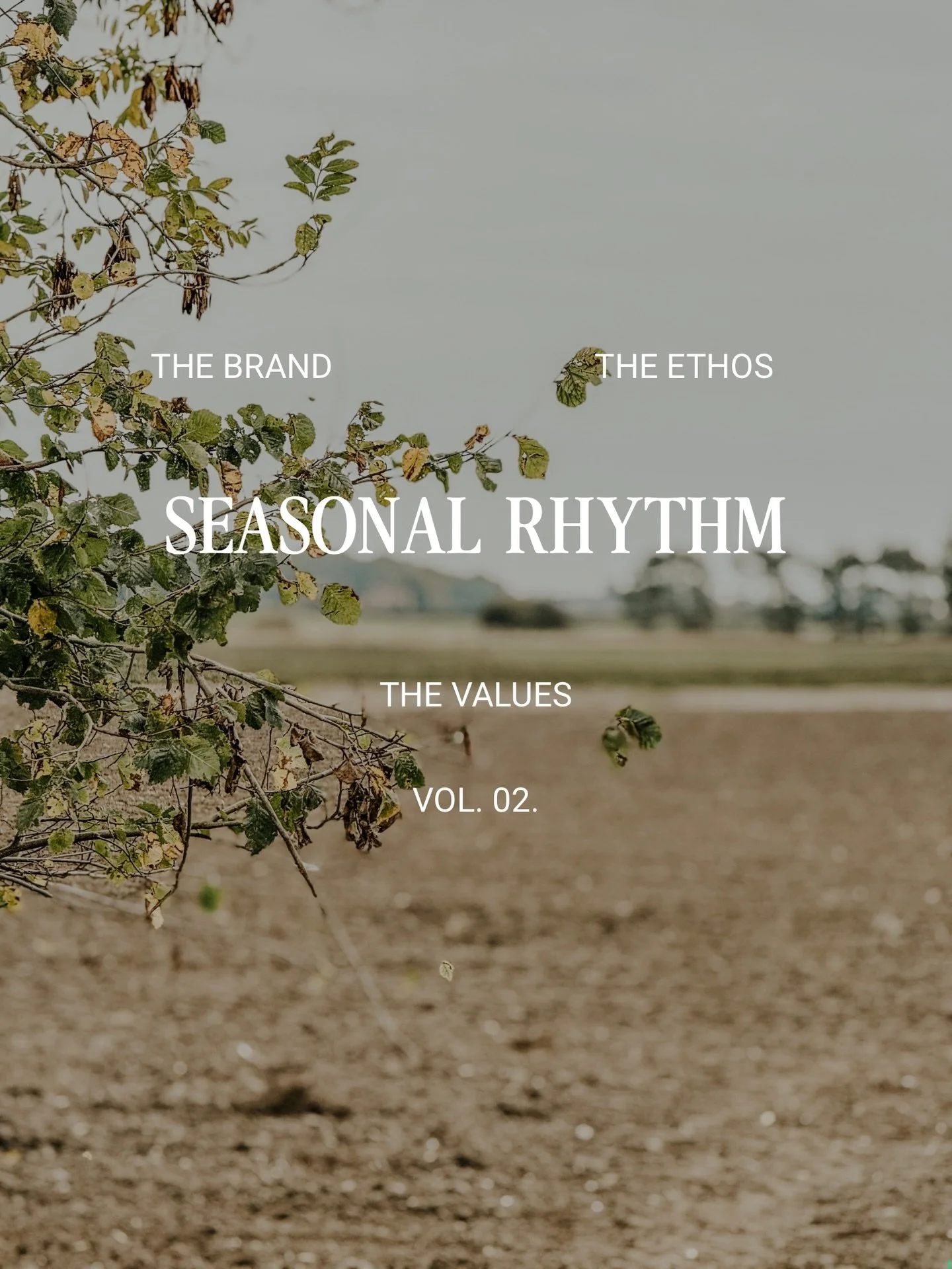 As we move through this in-between space at the end of autumn, everything in nature is quietly slowing&hellip; 

and I&rsquo;m letting myself do the same. 🍂✨

This is the season where the light softens, the days narrow, and our bodies instinctively 