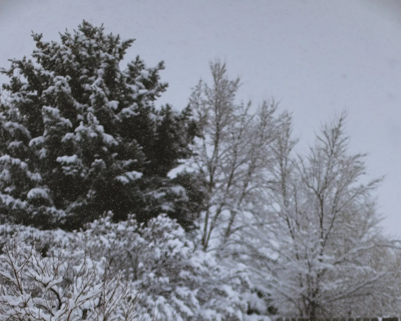 The Seasonal Productivity Approach to Winter