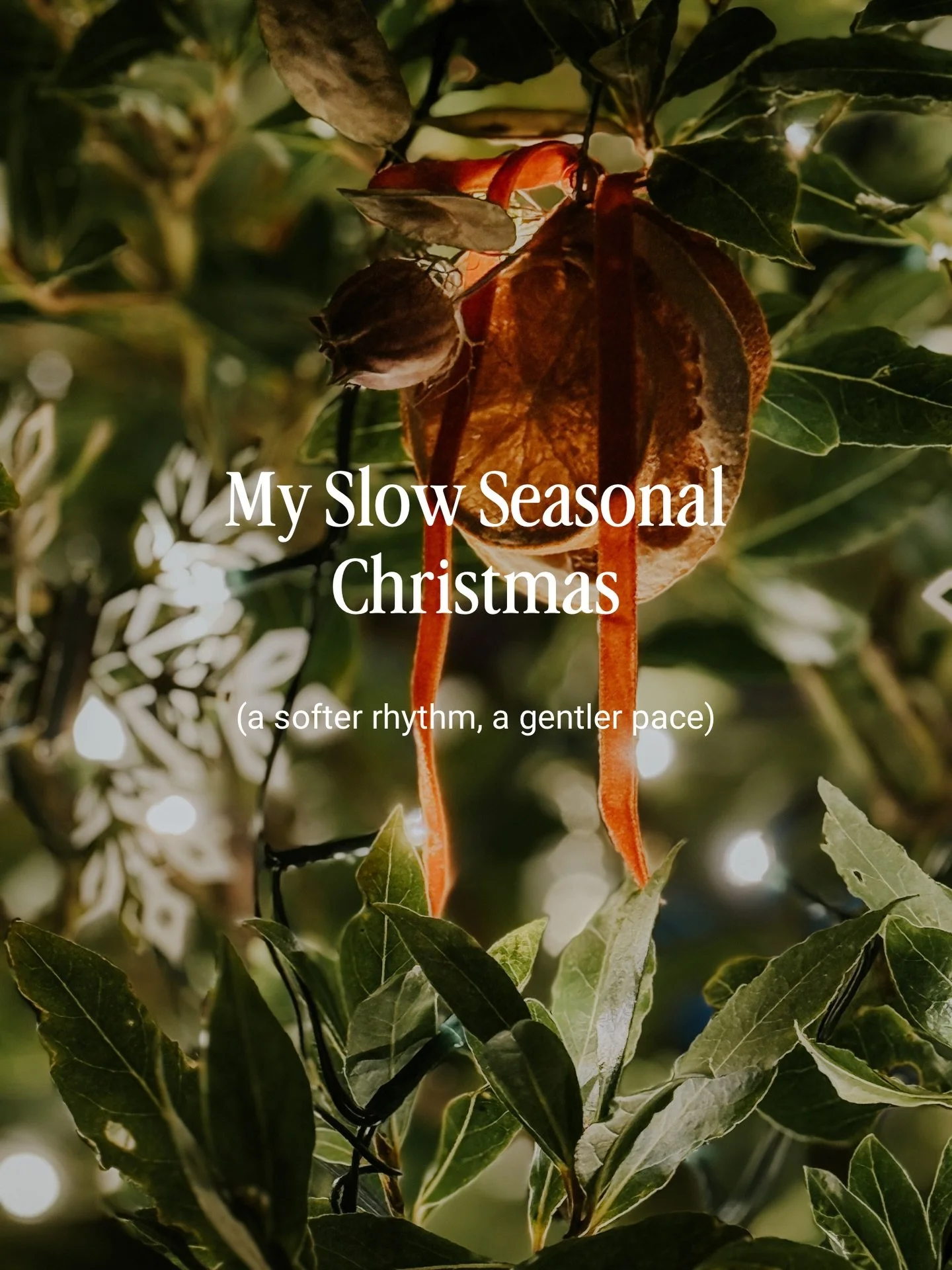 A Slower Christmas (And a Permission Slip You Might Need) 

A Christmas that feels seasonal, soulful, and spacious &mdash; not rushed or performative.

A Christmas that honours rest, nature, and meaning.

A Christmas that feels like winter.

If you&r