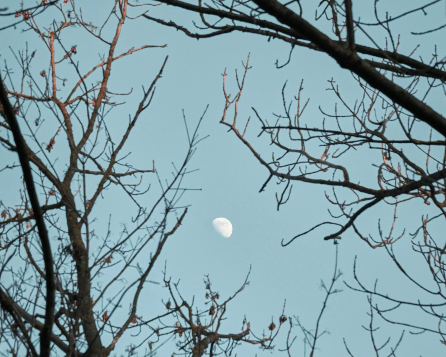 New Moon in Capricorn: Quiet Commitment, and the Wisdom of Going Slow