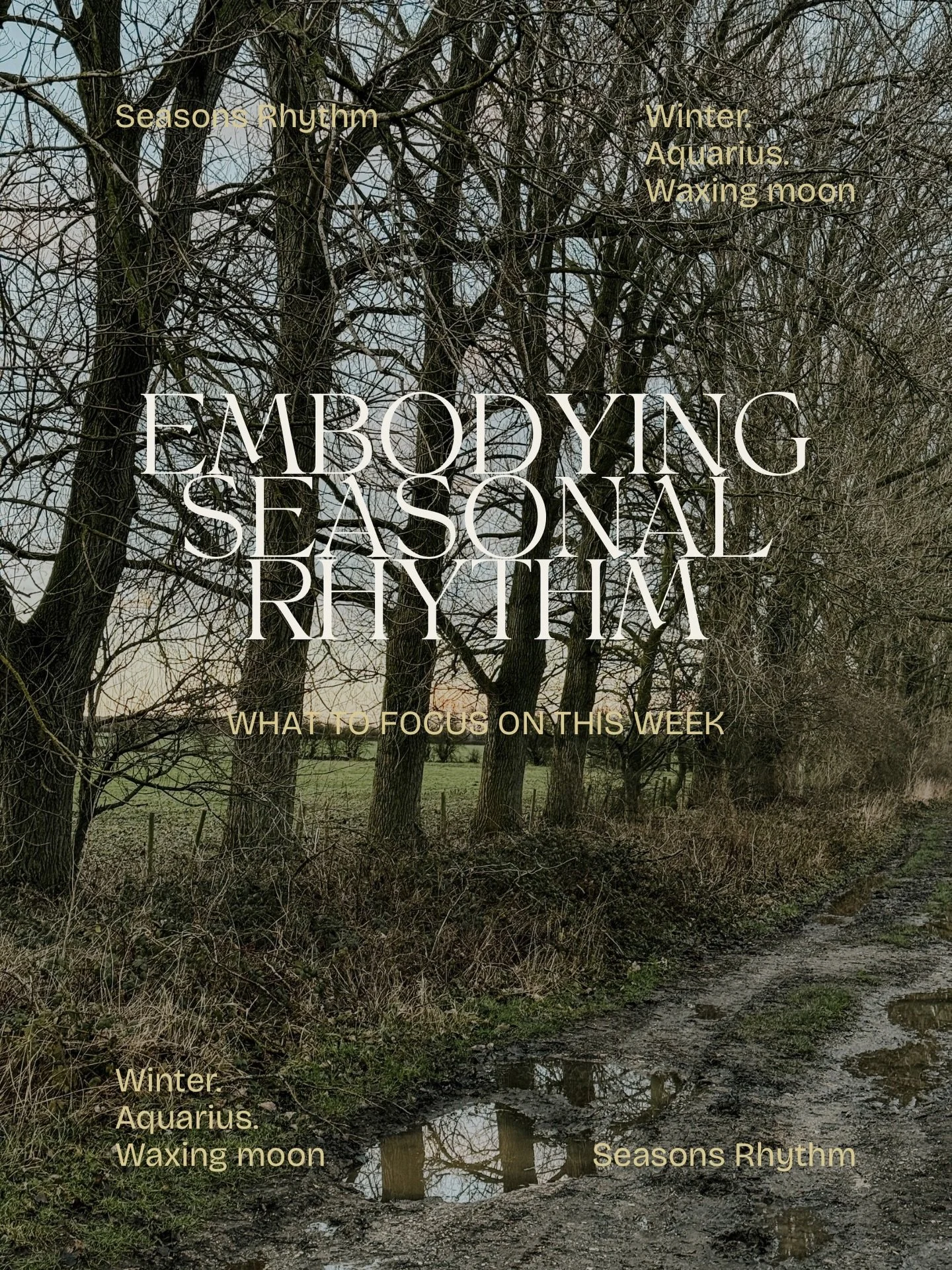 This week&rsquo;s Moon energy is a quiet invitation.

As we move through Aquarius &rarr; Pisces &rarr; Aries the rhythm feels like a slow unfolding of vision, intuition, and then courage.

Mid-winter doesn&rsquo;t show us growth in obvious ways, but 