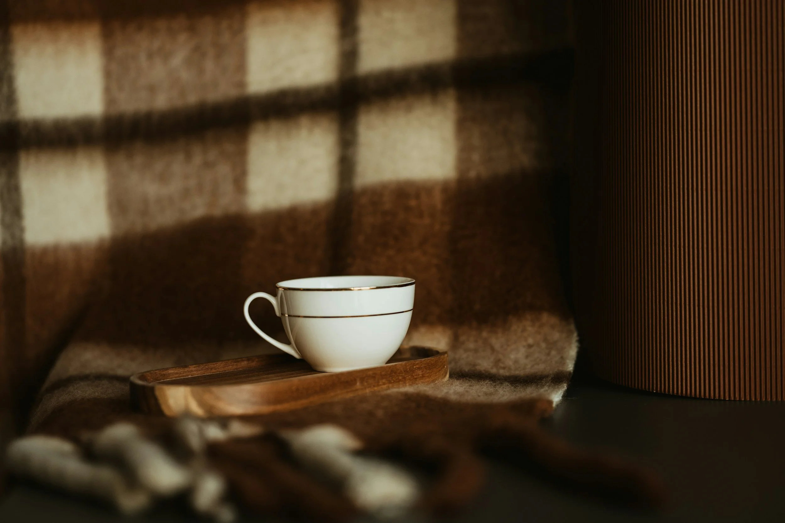 Rewilding Your Schedule: Small Seasonal Shifts to Support Your Circadian Rhythm Every Day