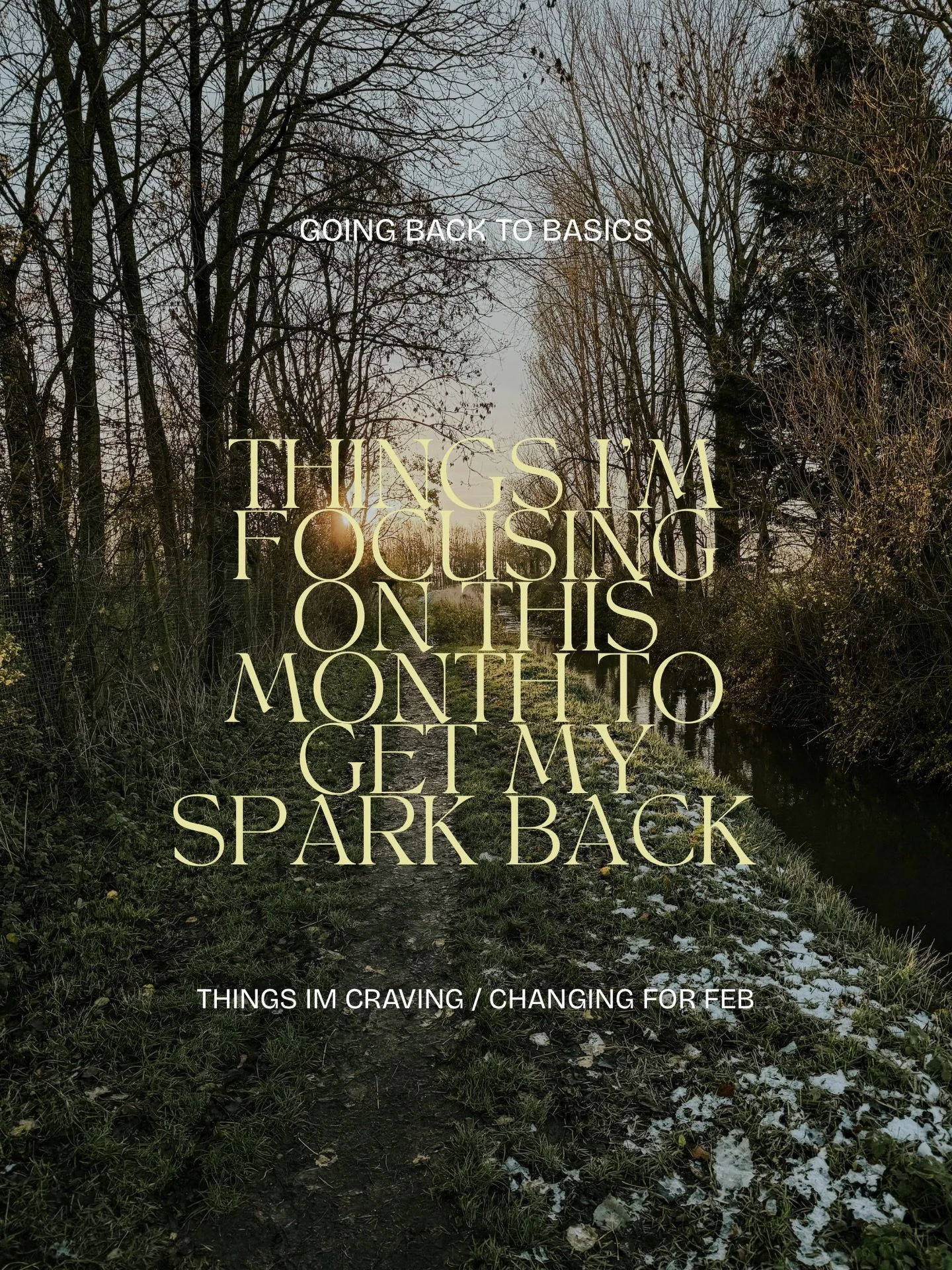 Going back to basics has been my quiet realignment this week and will continue to be for this month.

Not in a dramatic, burn-it-all-down way (even though that urge was there), but in a soft, steady remembering of who I am when I feel well. When I fe