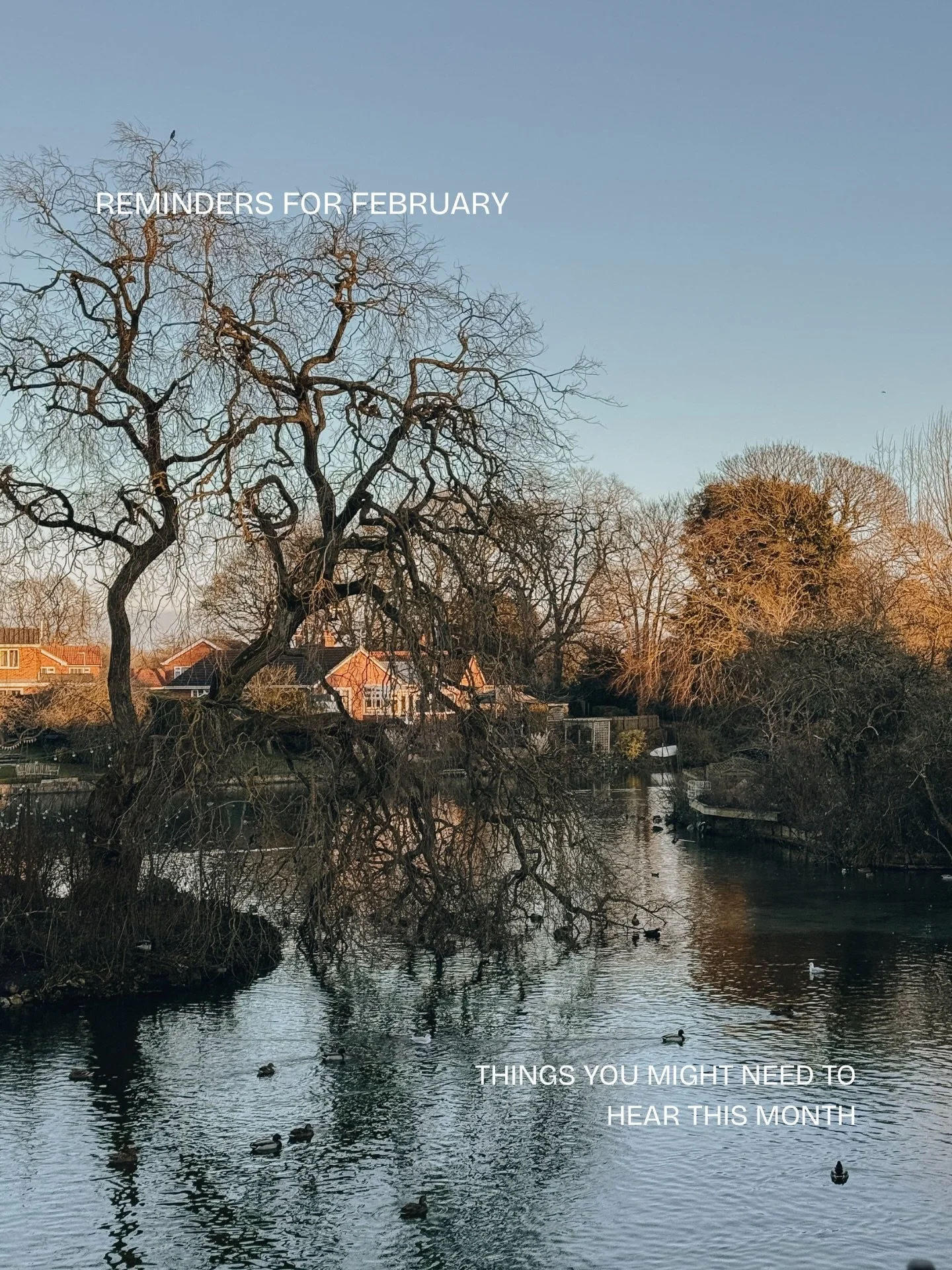 Gentle Reminders for This In-Between Month

You are still allowed to move slowly. The nervous system doesn&rsquo;t flip a switch just because the calendar says a new season is coming. February asks for patience with your energy and compassion for you