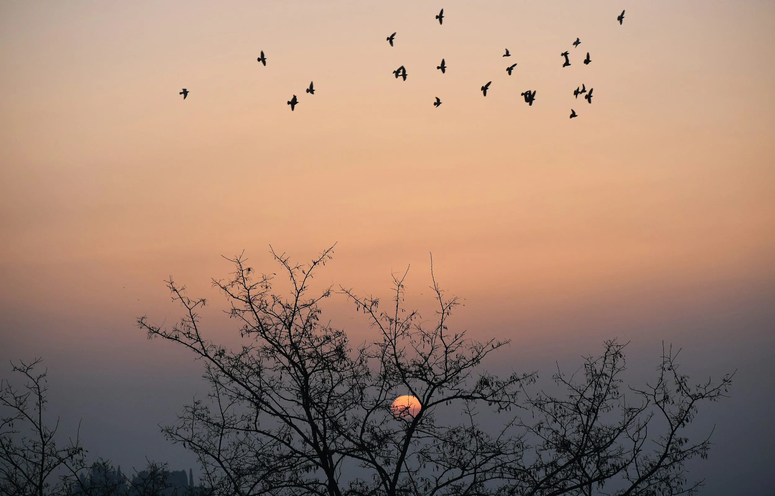 6 Signs Your Intuition Is Talking to You