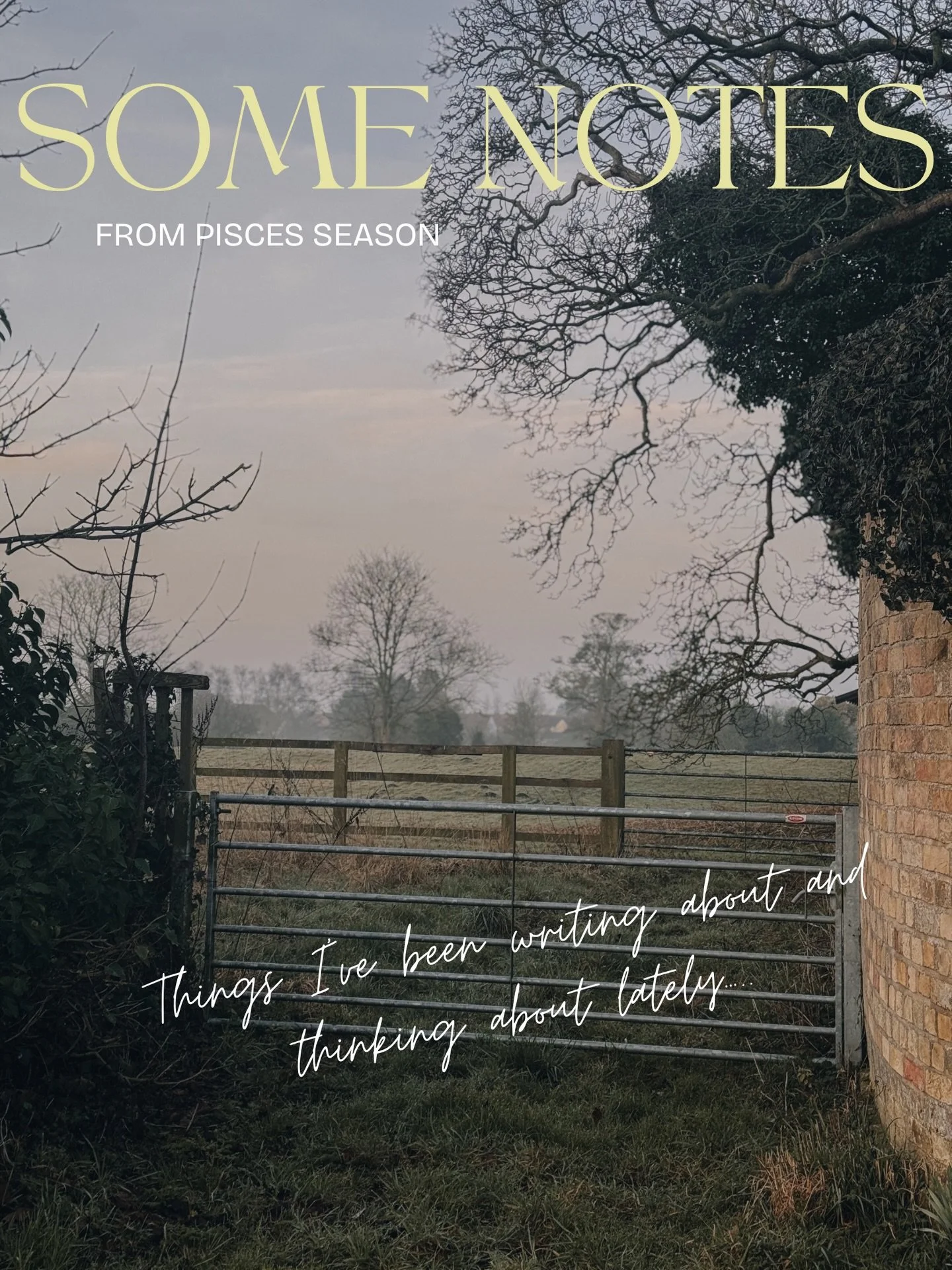 Some notes from my brain, this Pisces season 🤍

I feel like I&rsquo;m standing at the edge of something right now. Not quite ready to leap, not willing to stay where I am &mdash; just listening. Feeling. Letting the fog soften the sharp edges instea