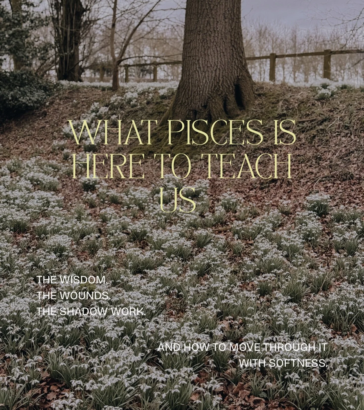 Pisces Season is dreamy, intuitive, emotional &mdash; A season for gathering your inner wisdom

This isn&rsquo;t a time to rush forward, but to soften. 

At the end of the zodiac, Pisces carries the emotional wisdom of the entire journey. It asks us 