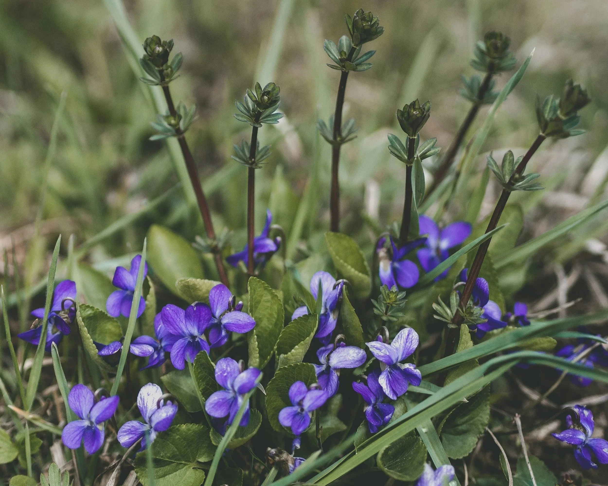 How I’m Preparing for Spring — Mind, Body and Soul 