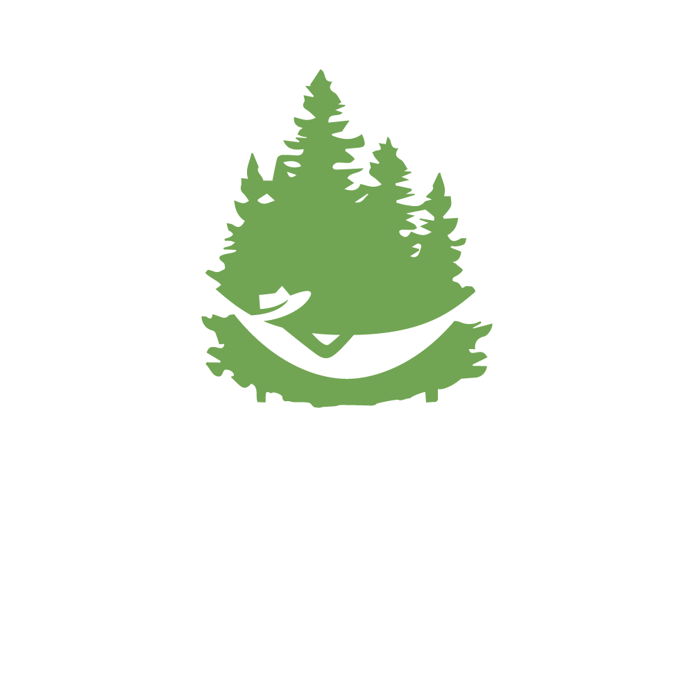 The Simple Life Cabin Rental