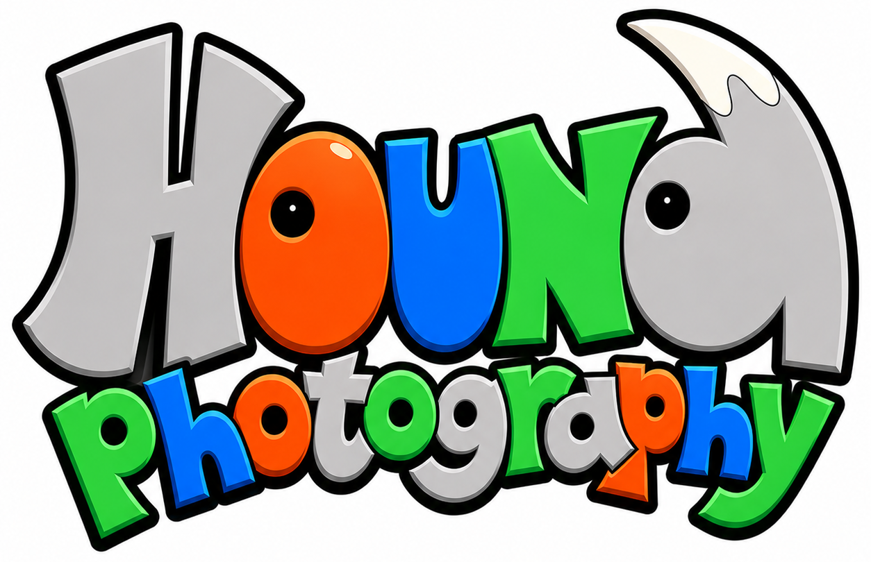 Hound Photography