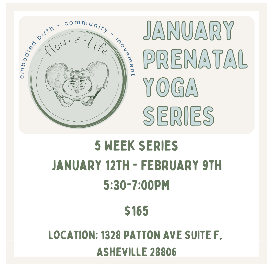 Flyer for Jan Prenatal Yoga Series, 5-week program from Jan 12 to Feb 9, 5:30-7:00 PM, at The Yoga Home, with prices $150-$200, discount codes SAVE50 and SAVE25, includes artistic drawing of a pelvis with labels, and an circular icon with words '