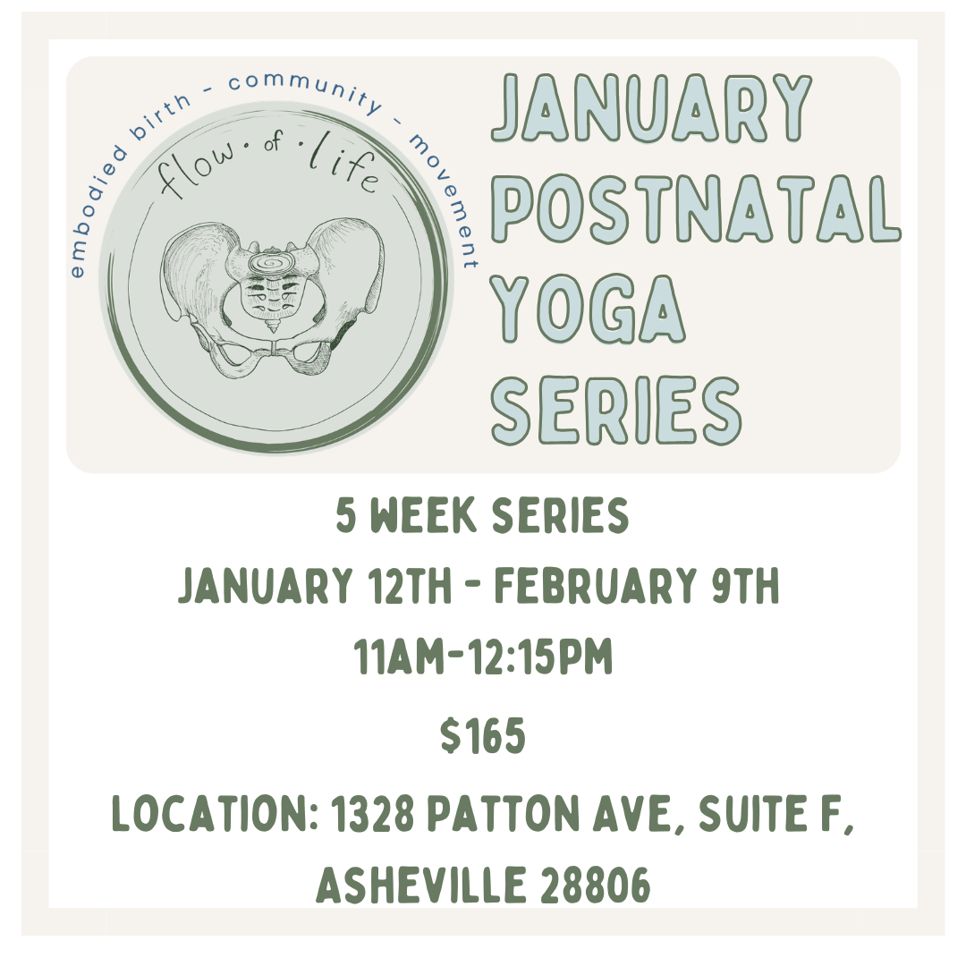 A promotional flyer for a January postpartum yoga series with information about a 5-week series from Jan 12th to Feb 9th, held Tuesdays from 11AM to 12:15PM. The flyer features a circular logo with a line drawing of a pel