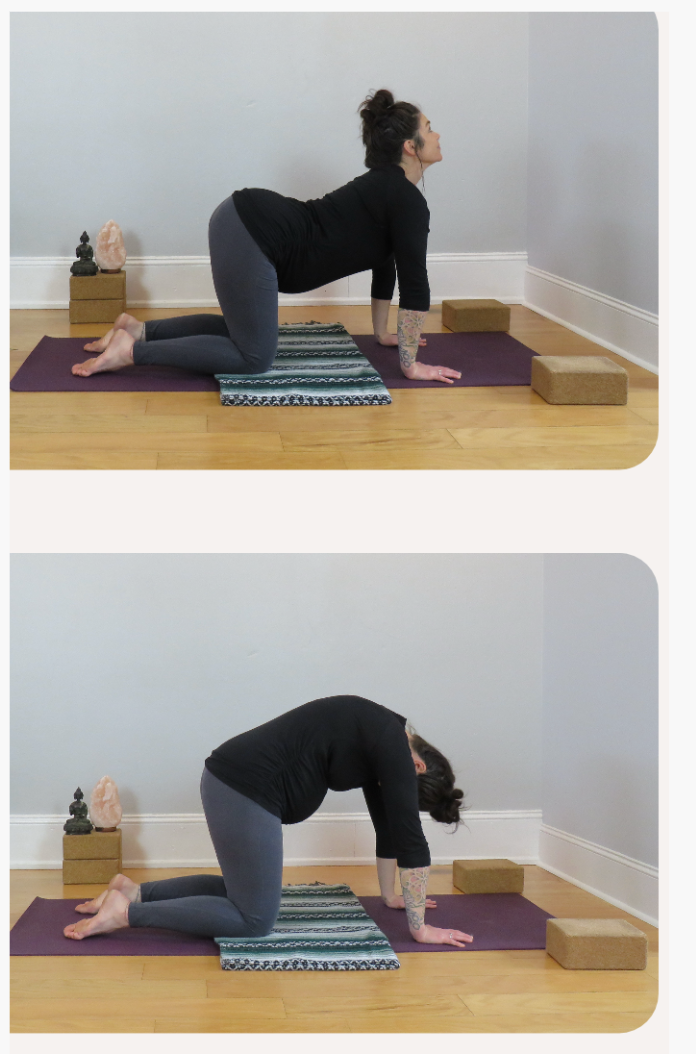 Pregnant Person Cat Cow Yoga Pose
