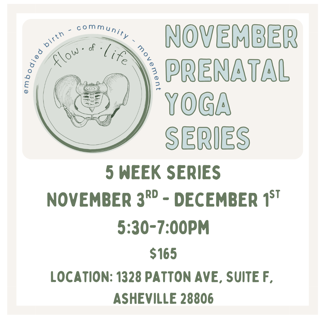 Flyer for November Prenatal Yoga Series, 5-week program from Nov 3 to Dec 1, 5:30-7:00 PM, at The Yoga Home, with prices $150-$200, discount codes SAVE50 and SAVE25, includes artistic drawing of a pelvis with labels, and an circular icon with words 'flow of life,' 'embodied birth,' 'community,' and 'movement'.