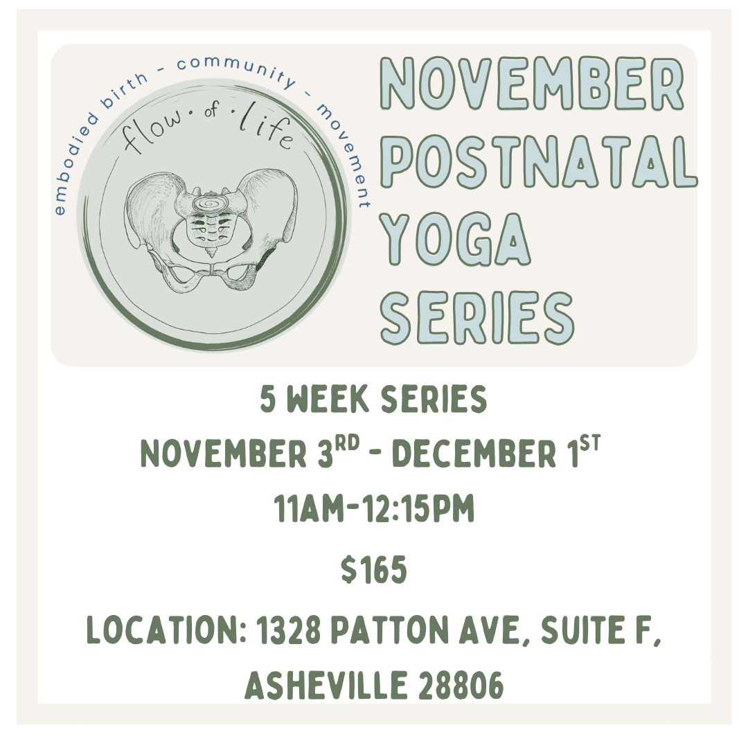 A promotional flyer for a November postpartum yoga series with information about a 5-week series from November 3rd to Dec 1st, held  11AM to 12:15PM. The flyer features a circular logo with a line drawing of a pelvis and the words 'flow of life' and related terms. Pricing is $150-$200, with discount codes for savings.
