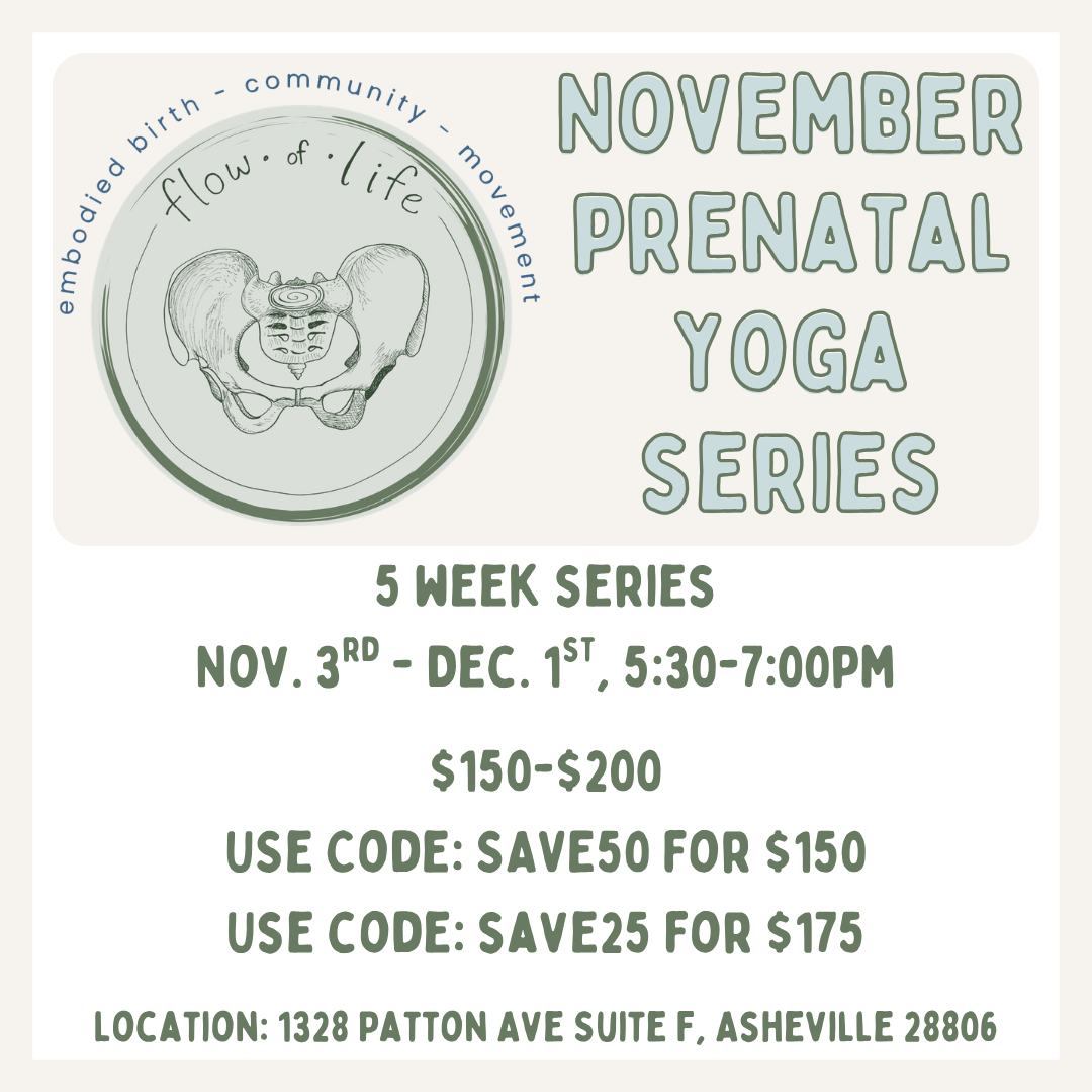 Flyer for November Prenatal Yoga Series, 5-week program from Nov 3 to Dec 1, 5:30-7:00 PM, at The Yoga Home, with prices $150-$200, discount codes SAVE50 and SAVE25, includes artistic drawing of a pelvis with labels, and an circular icon with words 'flow of life,' 'embodied birth,' 'community,' and 'movement'.