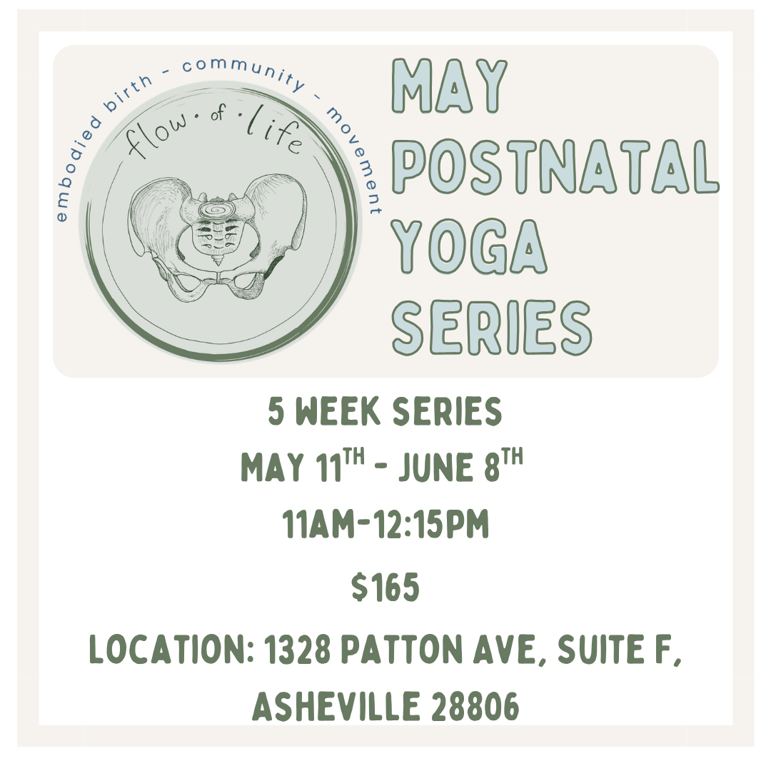 A promotional flyer for a May postpartum yoga series with information about a 5-week series from May 11th to June 8th, held Tuesdays from 11AM to 12:15PM. The flyer features a circular logo with a line drawing of a pel