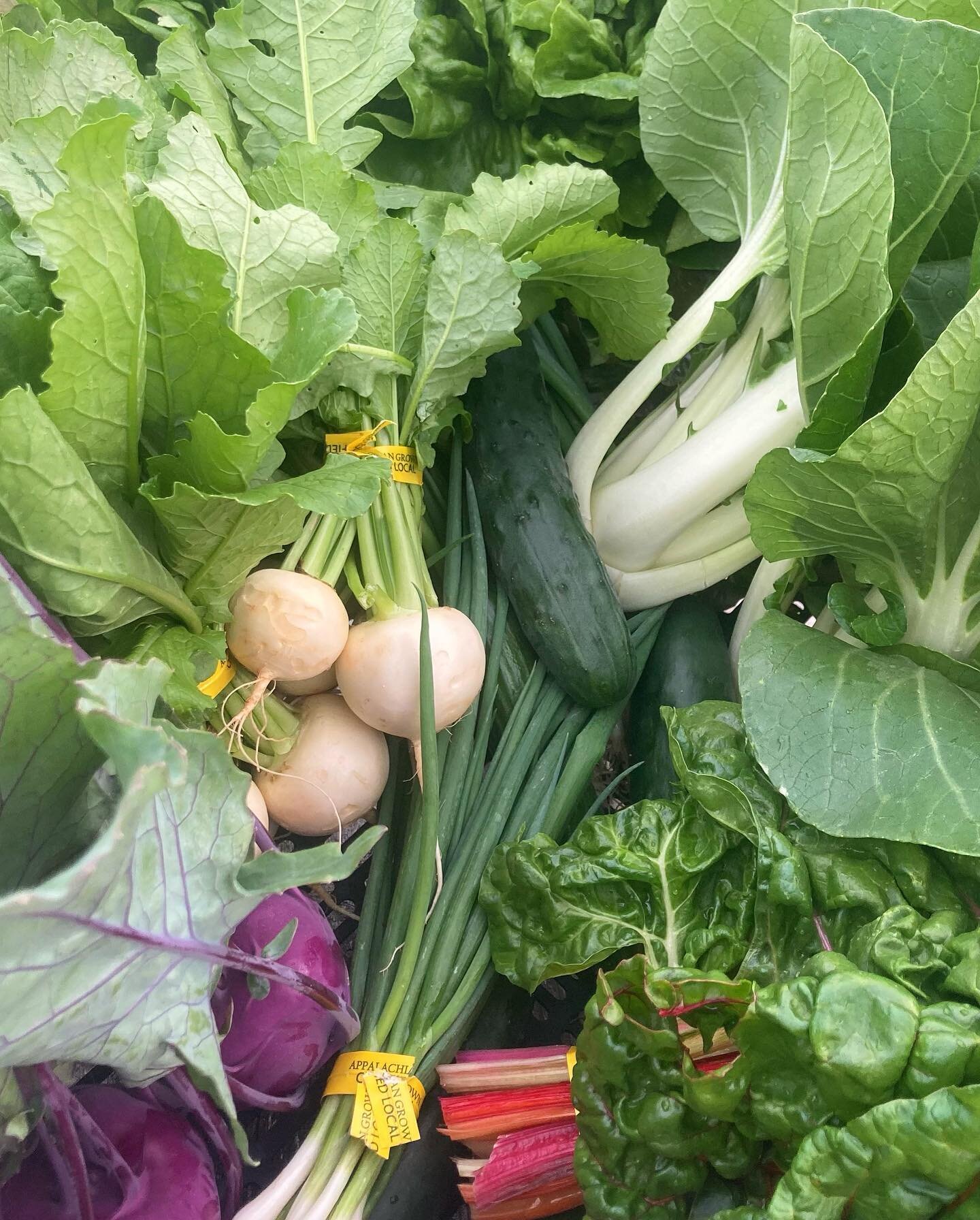 Several shares still available for the summer CSA season, running May through November! Purchase a farm share and receive a weekly box of seasonal, fresh, organically grown produce of the highest quality. Boxes will be available for pick up at the fa