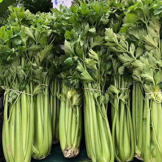 Celery