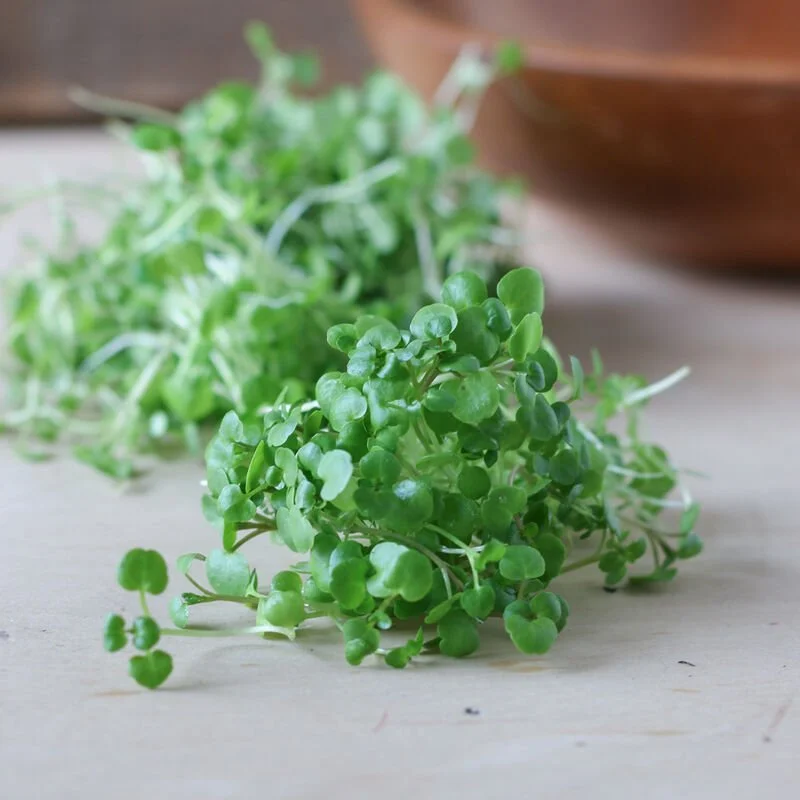 Cress.jpg