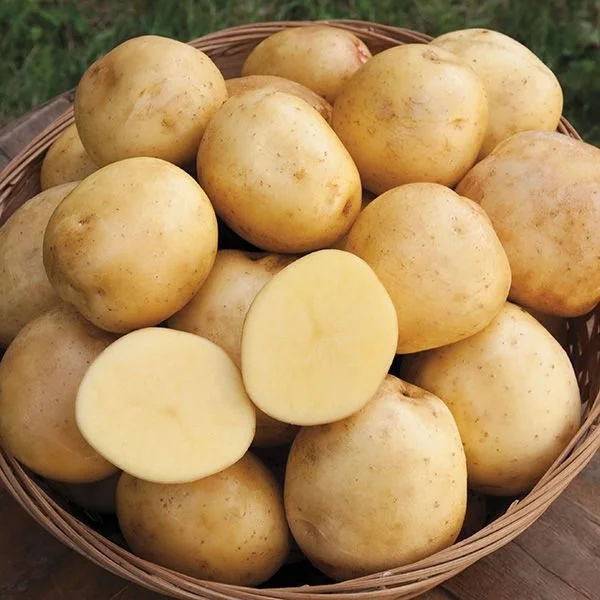 Yukon Gold Potatoes