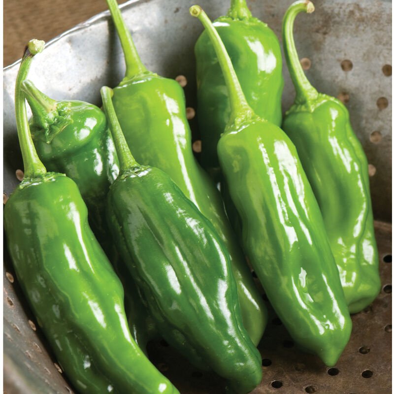 Shishito Peppers