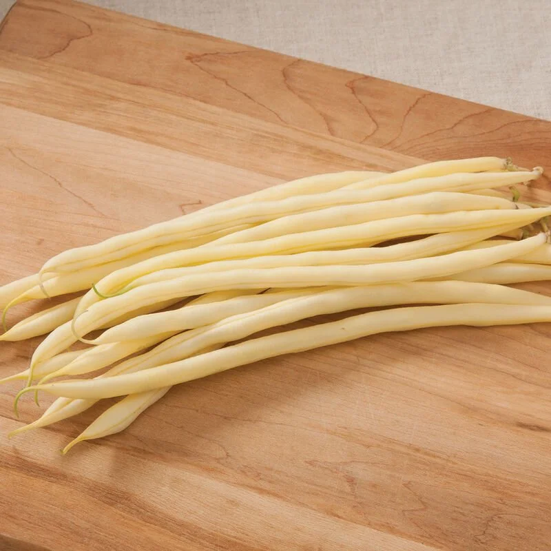 yellow bean.jpg