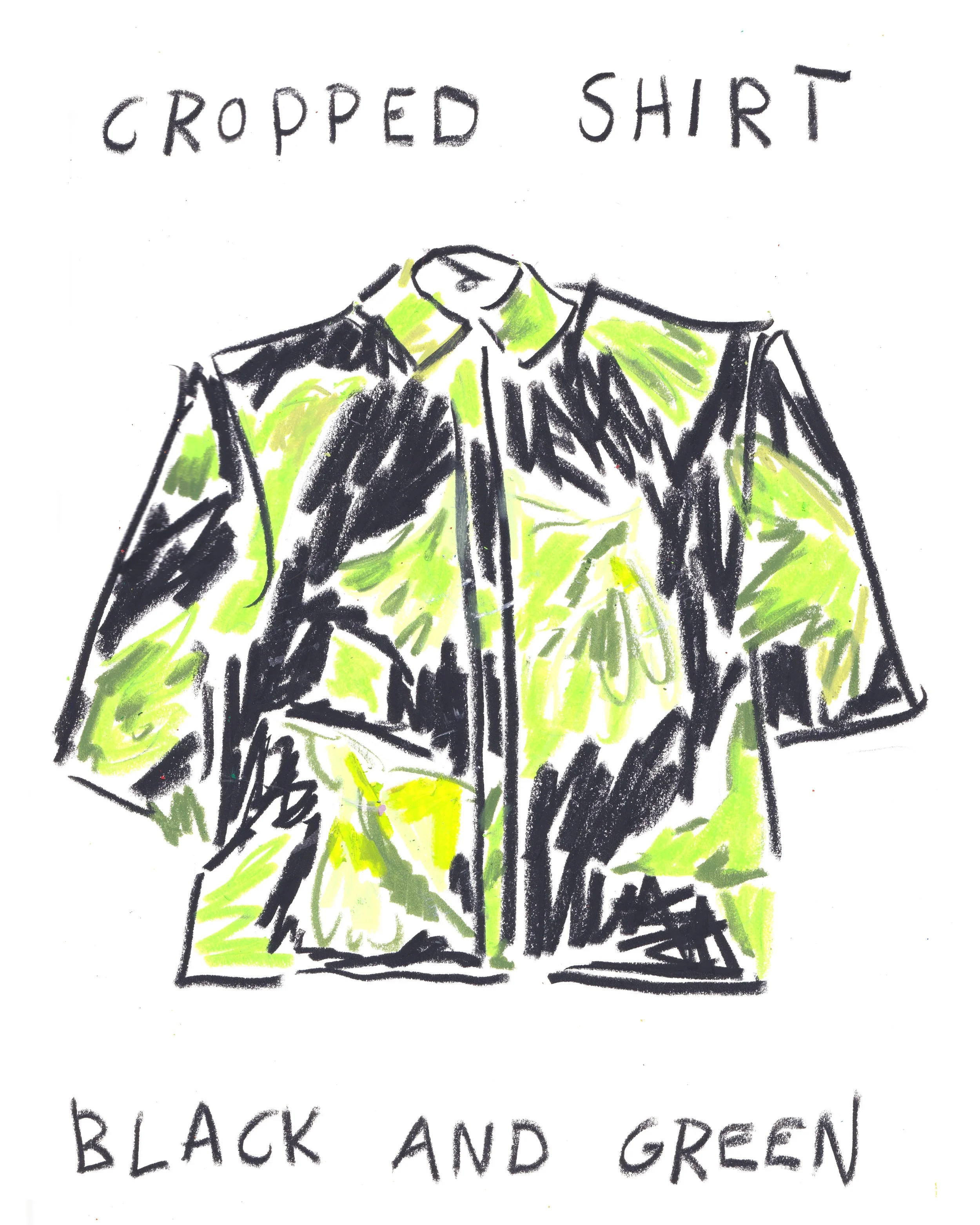 cropped_shirt.jpg