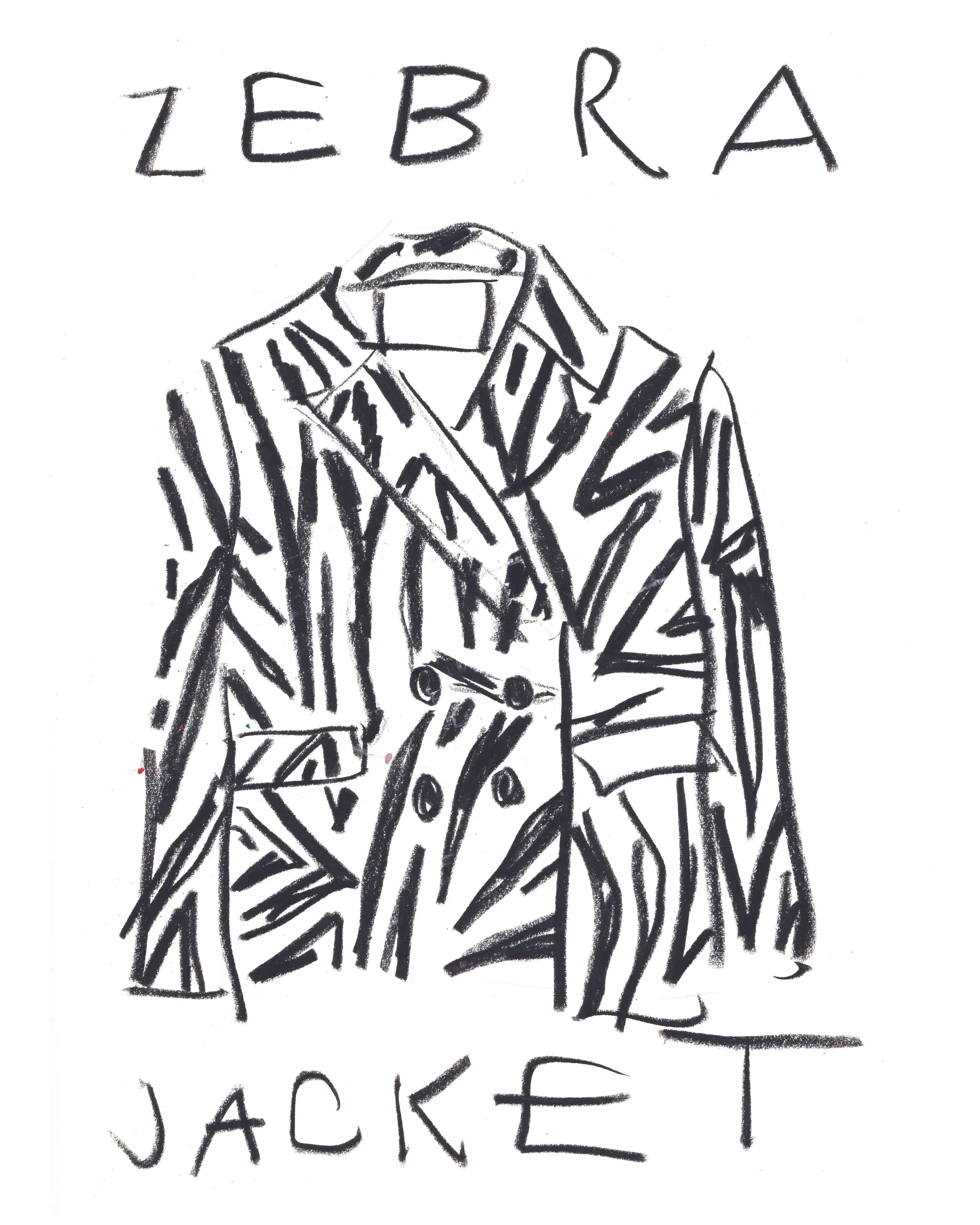 zebra_jacket.jpg