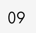 Number 09 displayed on a white background