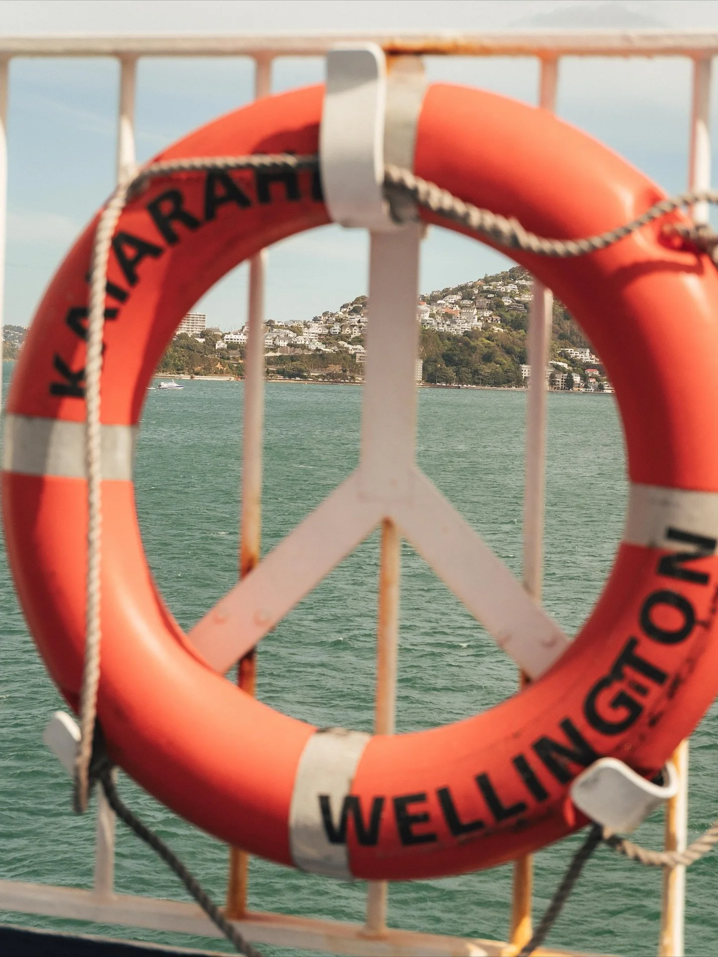 New Zealand so far. 🥝

#travelphotography #roadtrip #abeltasman #tongarirocrossing #coastline #ferry #newzealand #sonyphotogallery