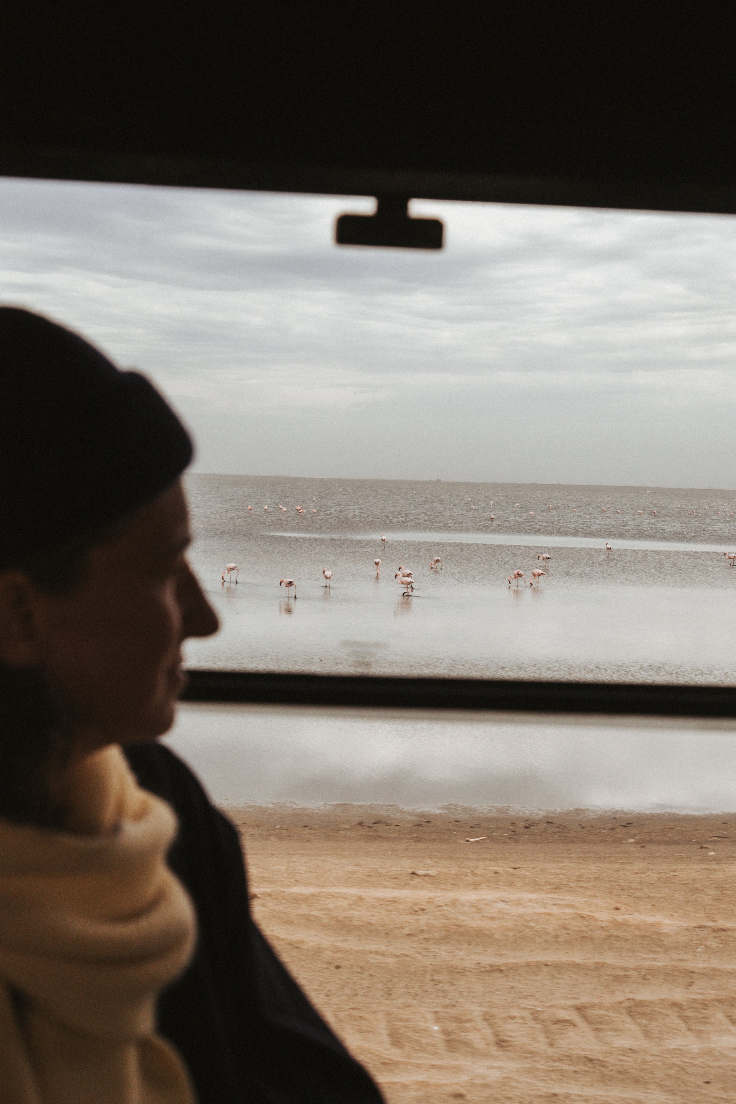 Seitenprofil eines Mannes sitzt in einem Auto, im Hintergrund Flamingos am Wasser bei bewölktem Himmel.