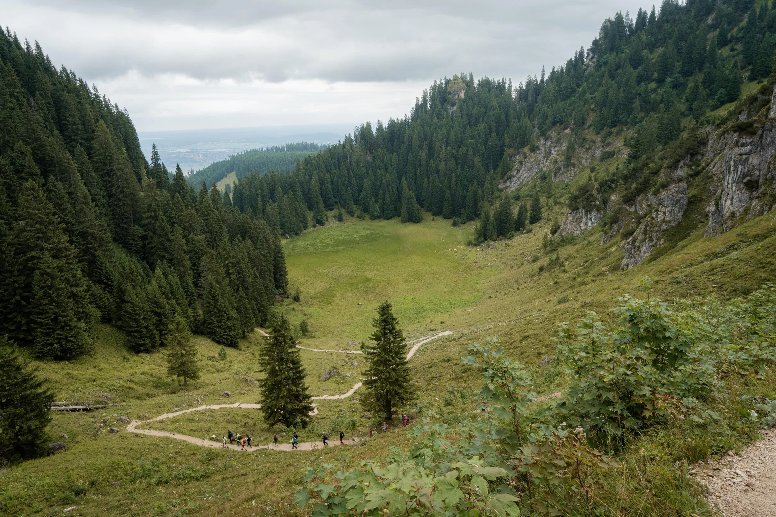 Grupp von Wanderern auf einem schmalen Weg in einem grünen Tal, umgeben von dichten Tannenwäldern und steilen Berghängen.