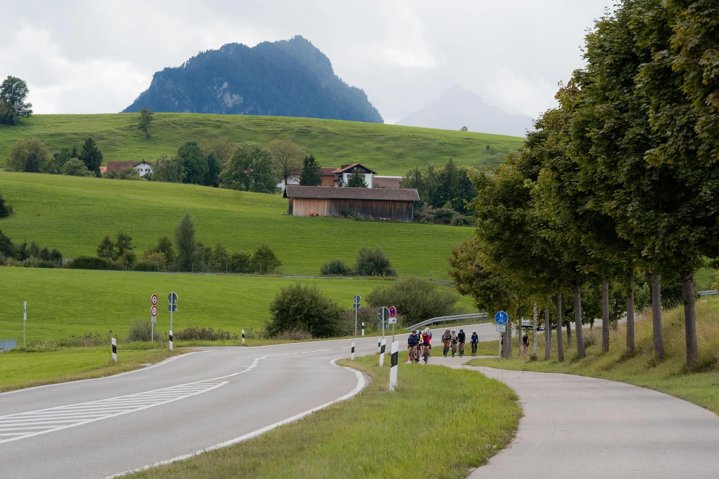 Grupp Fahrradfahrer auf einem ländlichen Weg umgeben von grünen Wiesen und Bäumen, im Hintergrund Berge und ein kleines Haus.