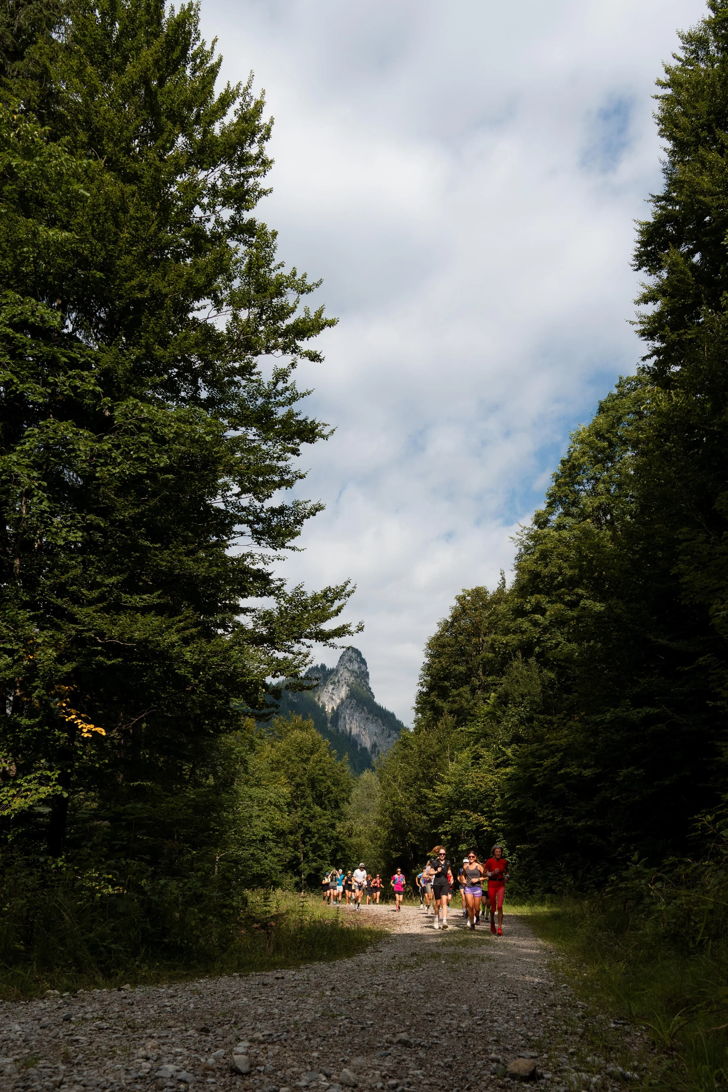 Gruppe von Menschen beim Wandern auf einem Waldweg mit Bergen im Hintergrund.