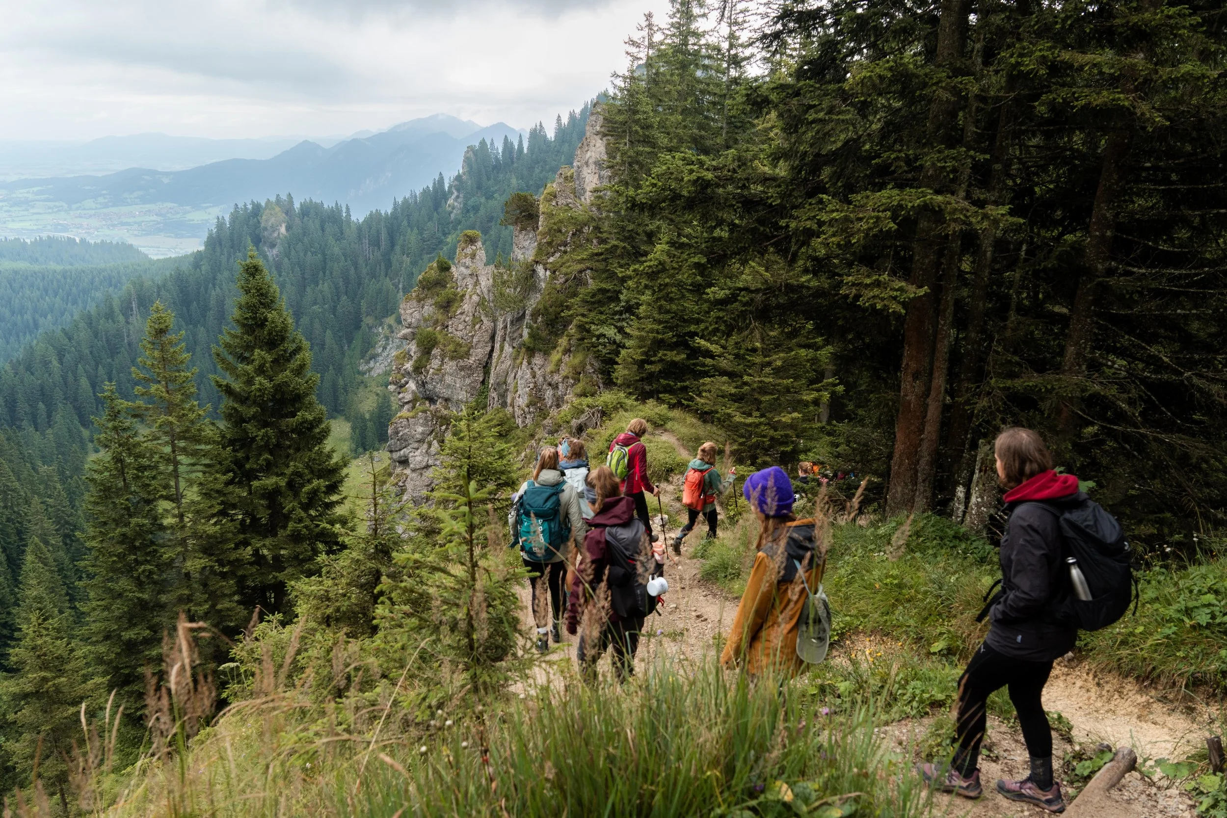 Eine Gruppe von Wanderern auf einem schmalen Pfad in den Bergen, umgeben von dichten Tannenwäldern und Felsen, mit einer weiten Berglandschaft im Hintergrund.