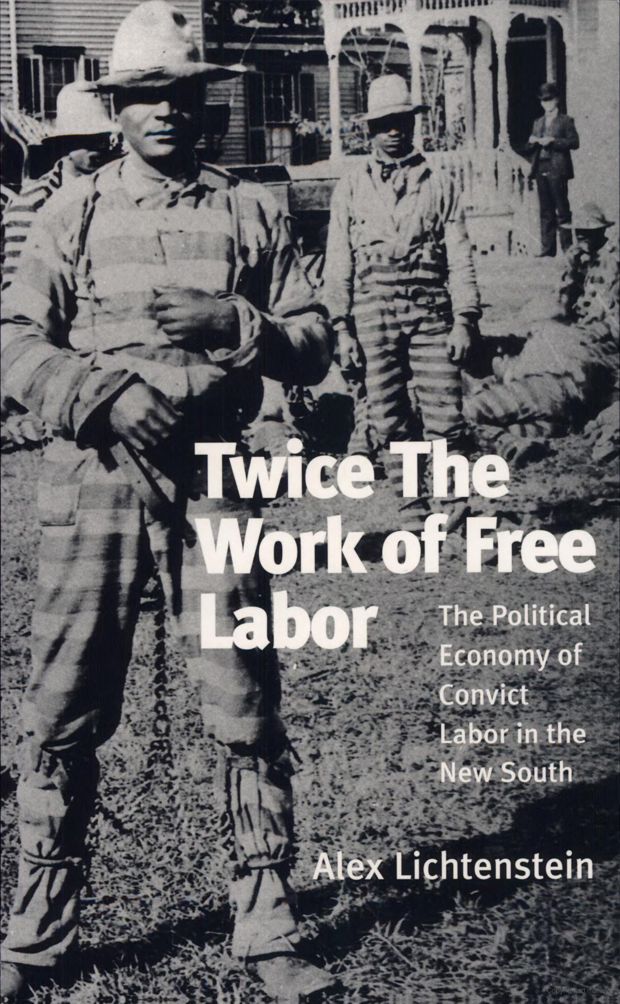 Book Review: Twice the Work of Free Labor: The Political Economy of Convict Labor in the New South 