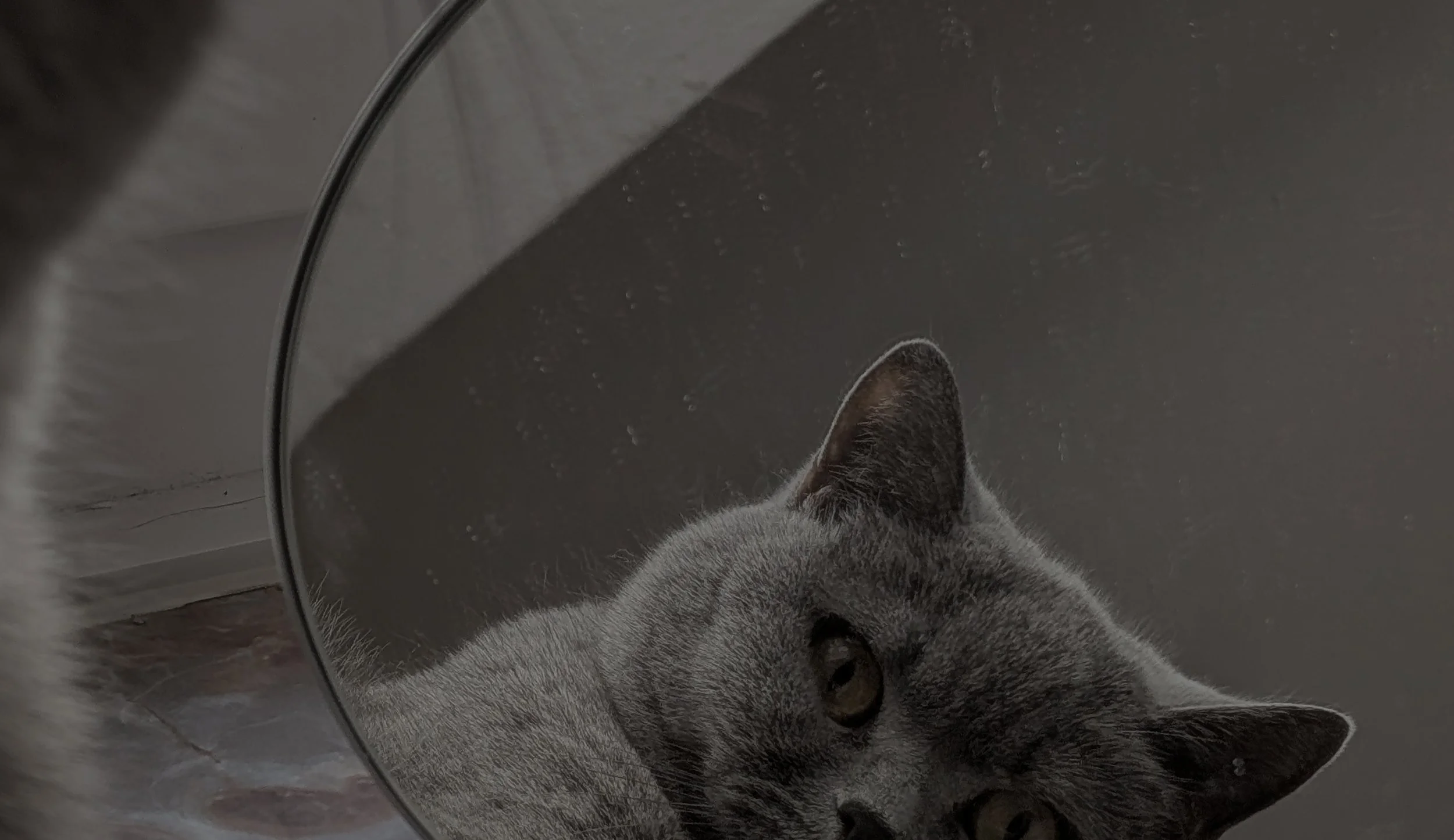 Ich erlaube mir, alte Selbstbilder loszulassen und mich offener und ehrlicher zu erleben.